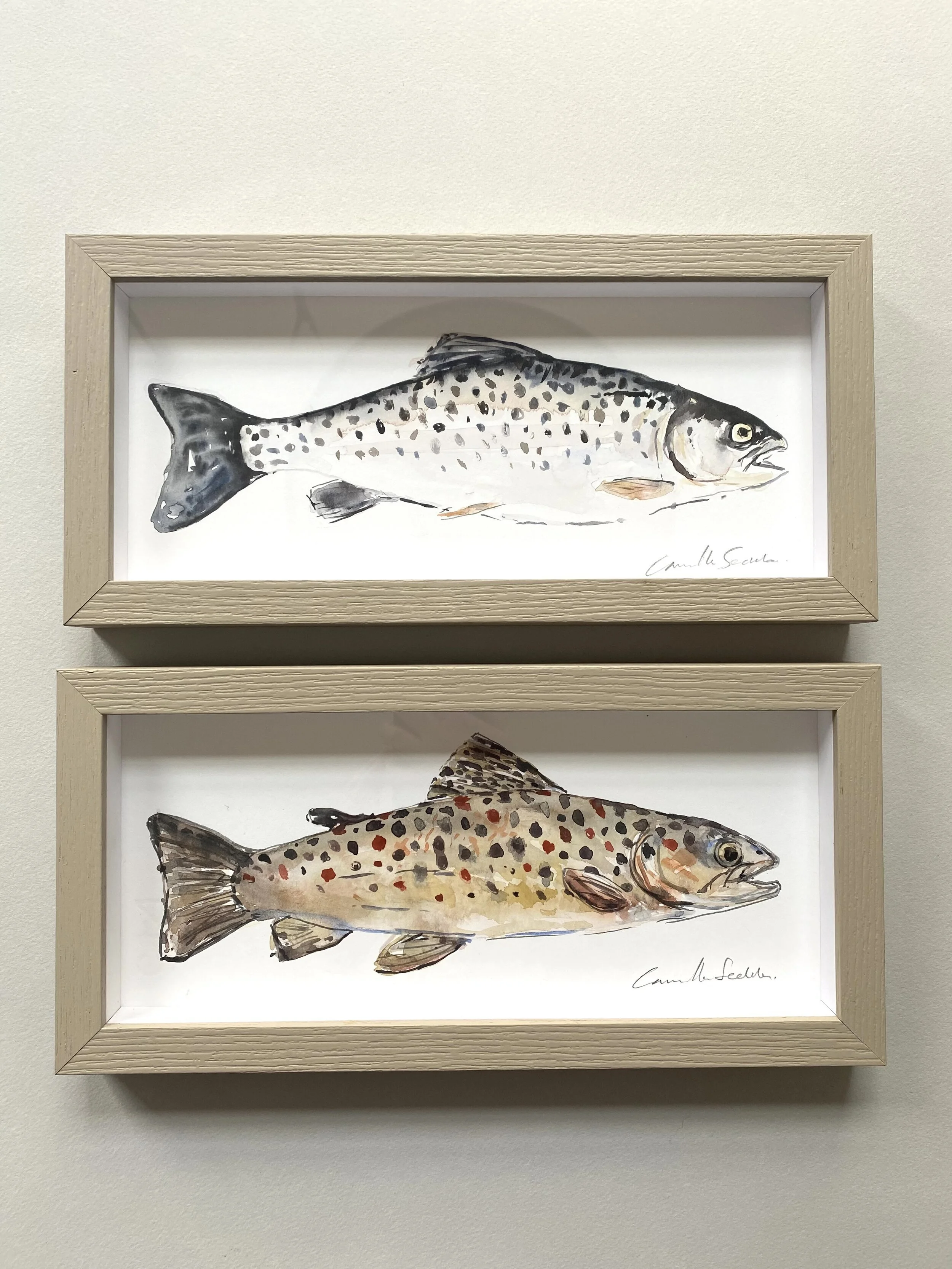 SOLD 'Two trout', pair of framed watercolour studies.