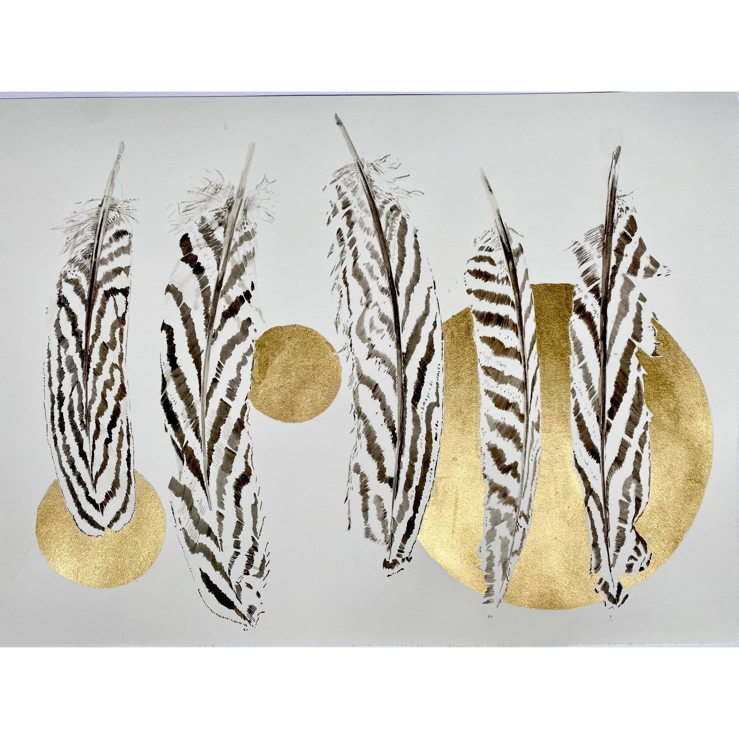 Silver%2BPheasant%2B1.jpg