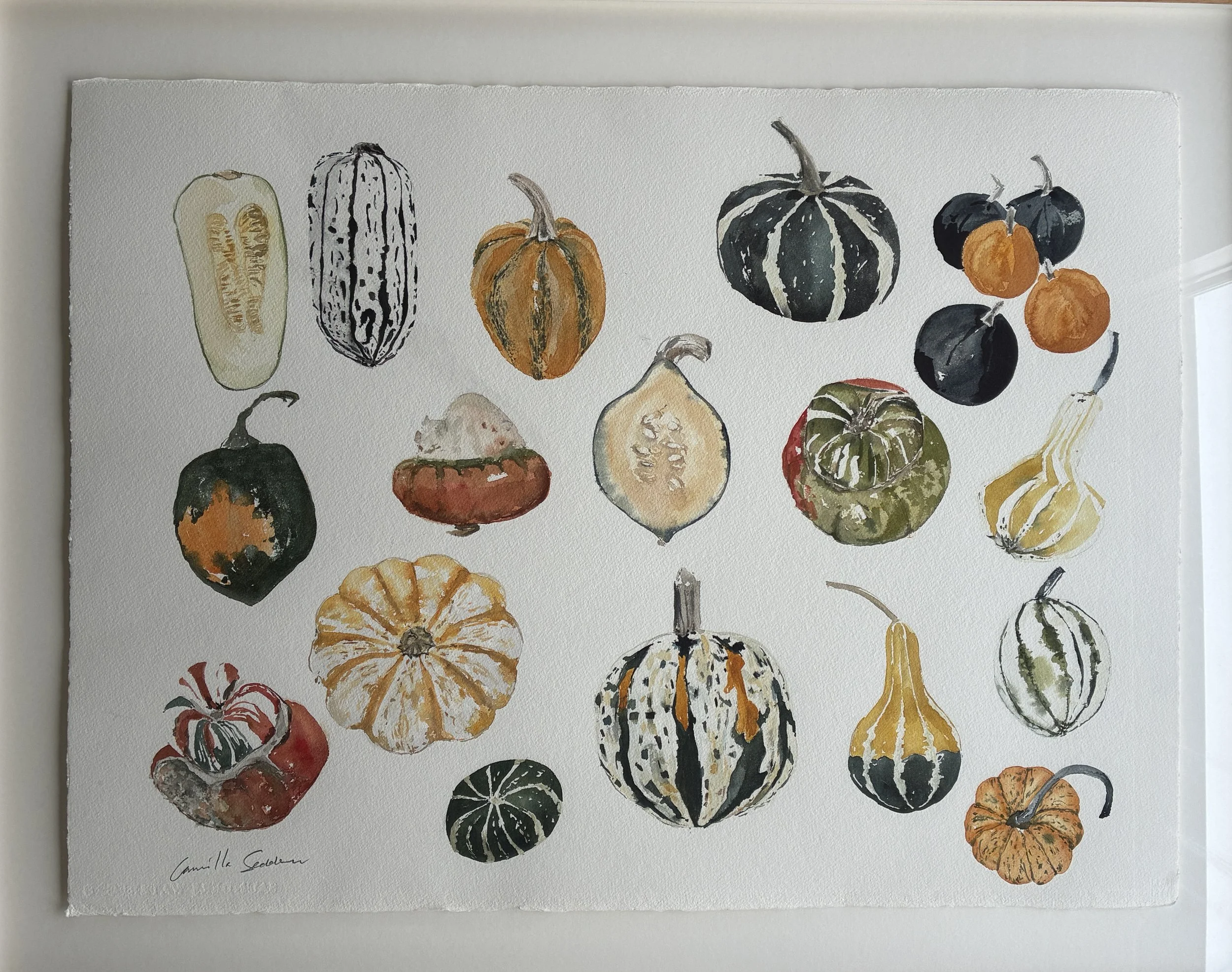 'Squash and Gourds', framed watercolour original