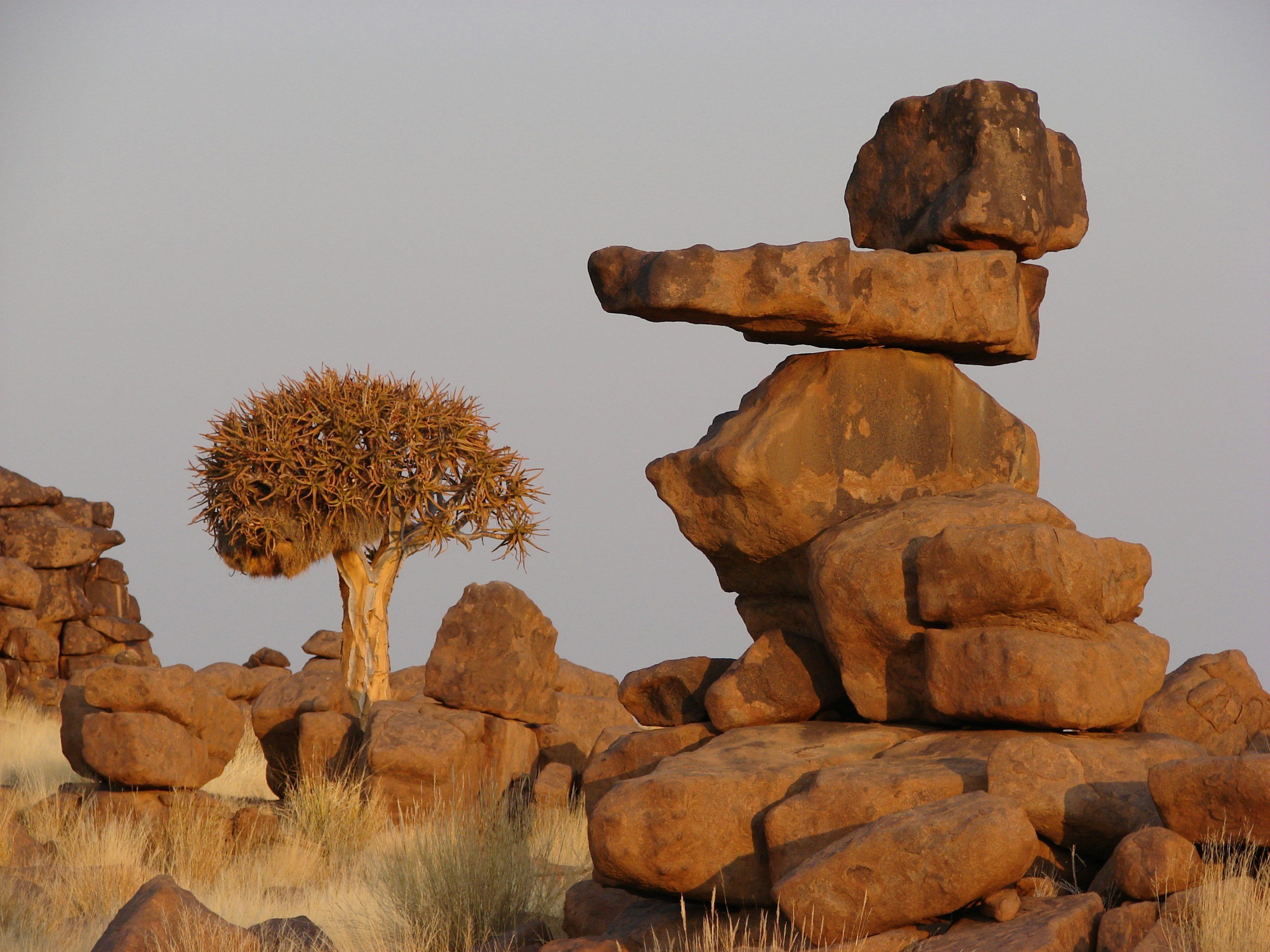 Great marketing lies in balancing authority & empathy