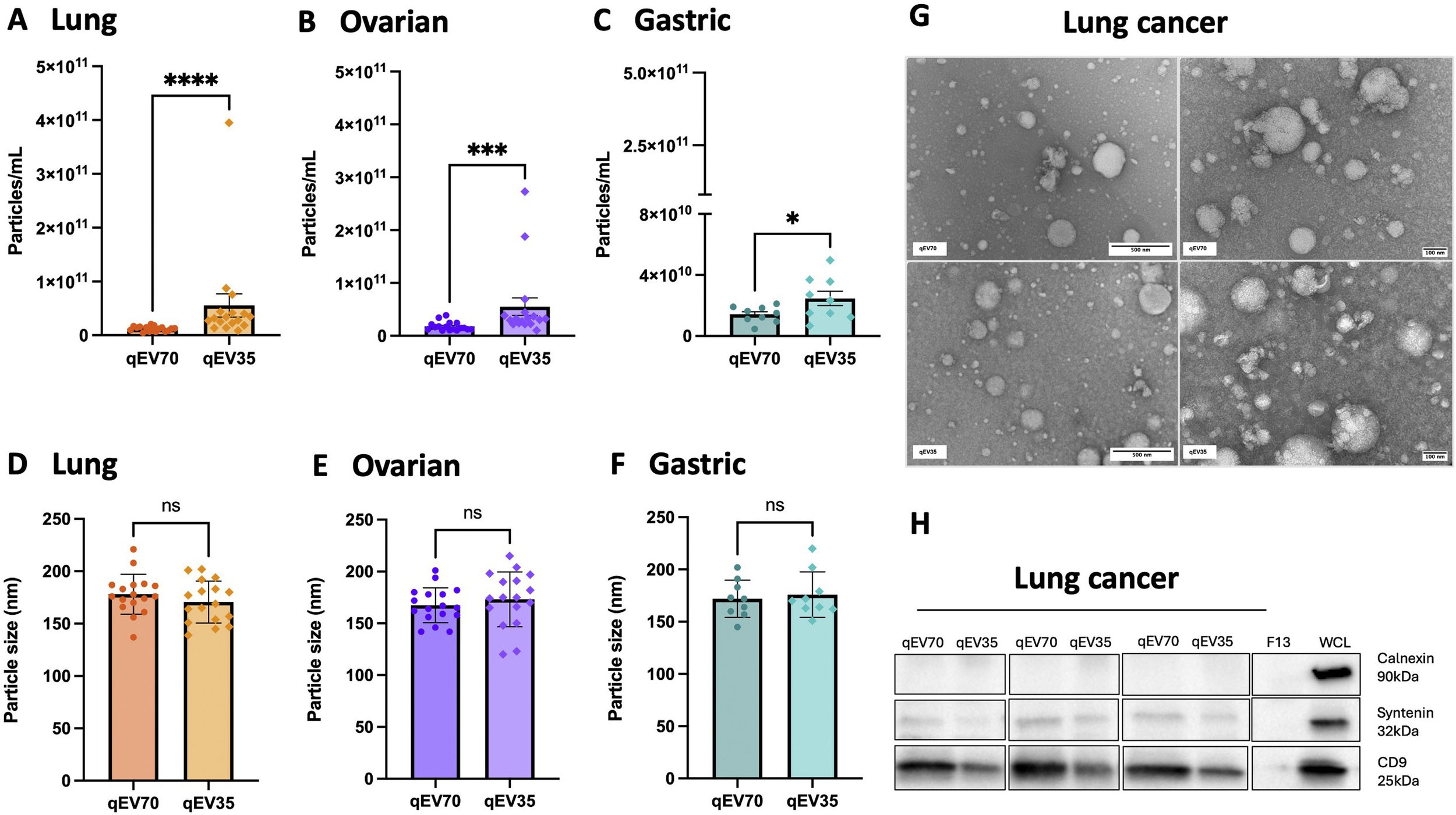 Publication by CLuB Members in Translational Oncology