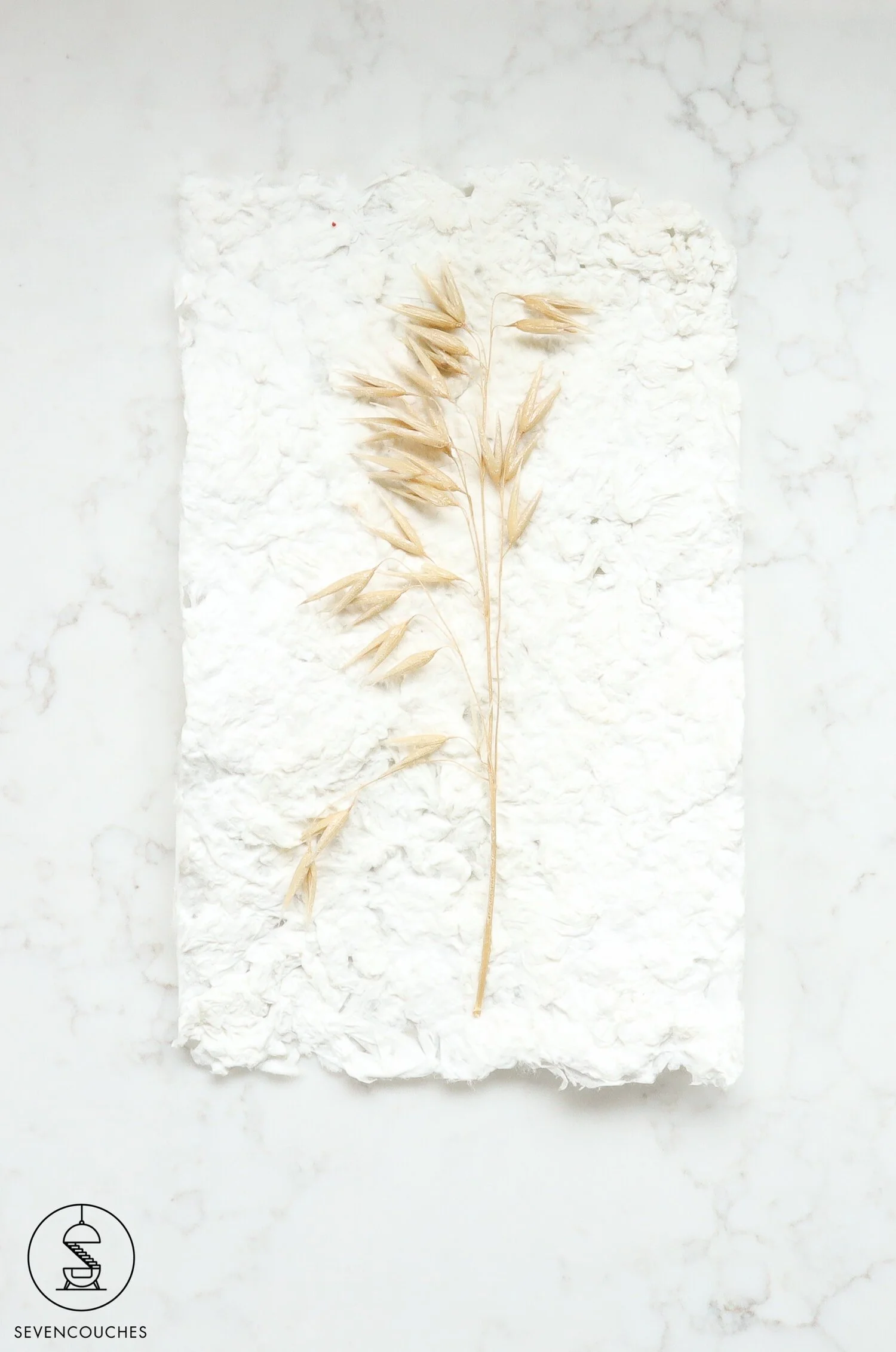 Pampas gras op gedroogd papier pulp