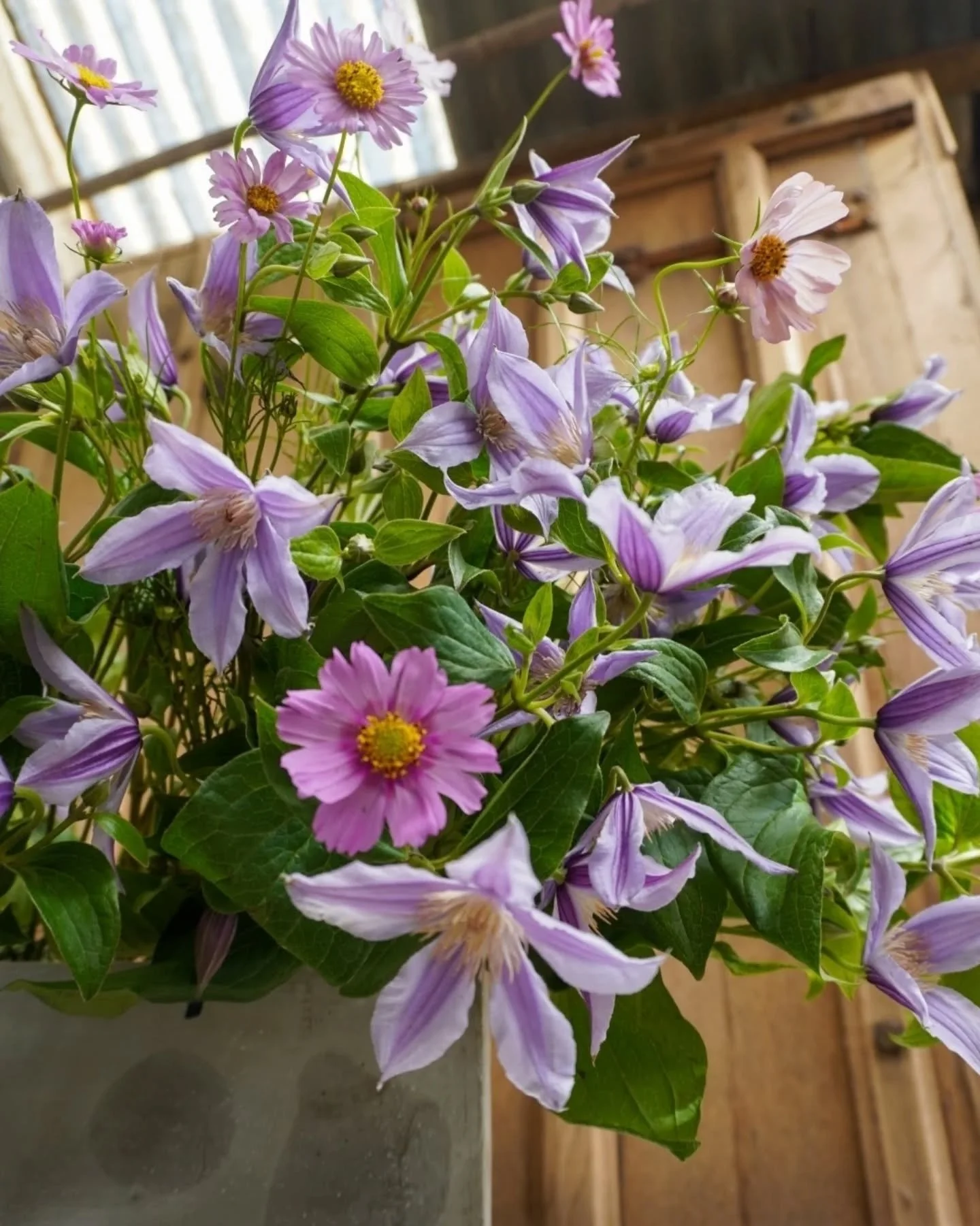 From Workshop to Wedding .. 🌿✨

Simplicity of design was at the core of this beautiful array of Clematis &amp; Cosmos for Laura (our very own Creative Director's September wedding). 

Allowing it to breath in it's repetition, creating impact and sin