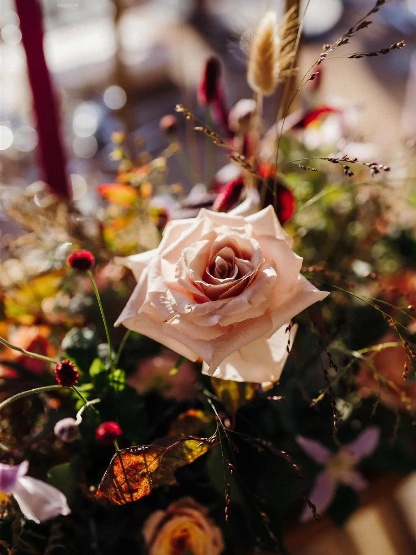 🍂 Autumn has a way of slowing us down &mdash; of drawing us closer to the glow of candlelight, the comfort of good food, and the joy of being surrounded by the people we love.

These coming months are for couples who find beauty in the little moment