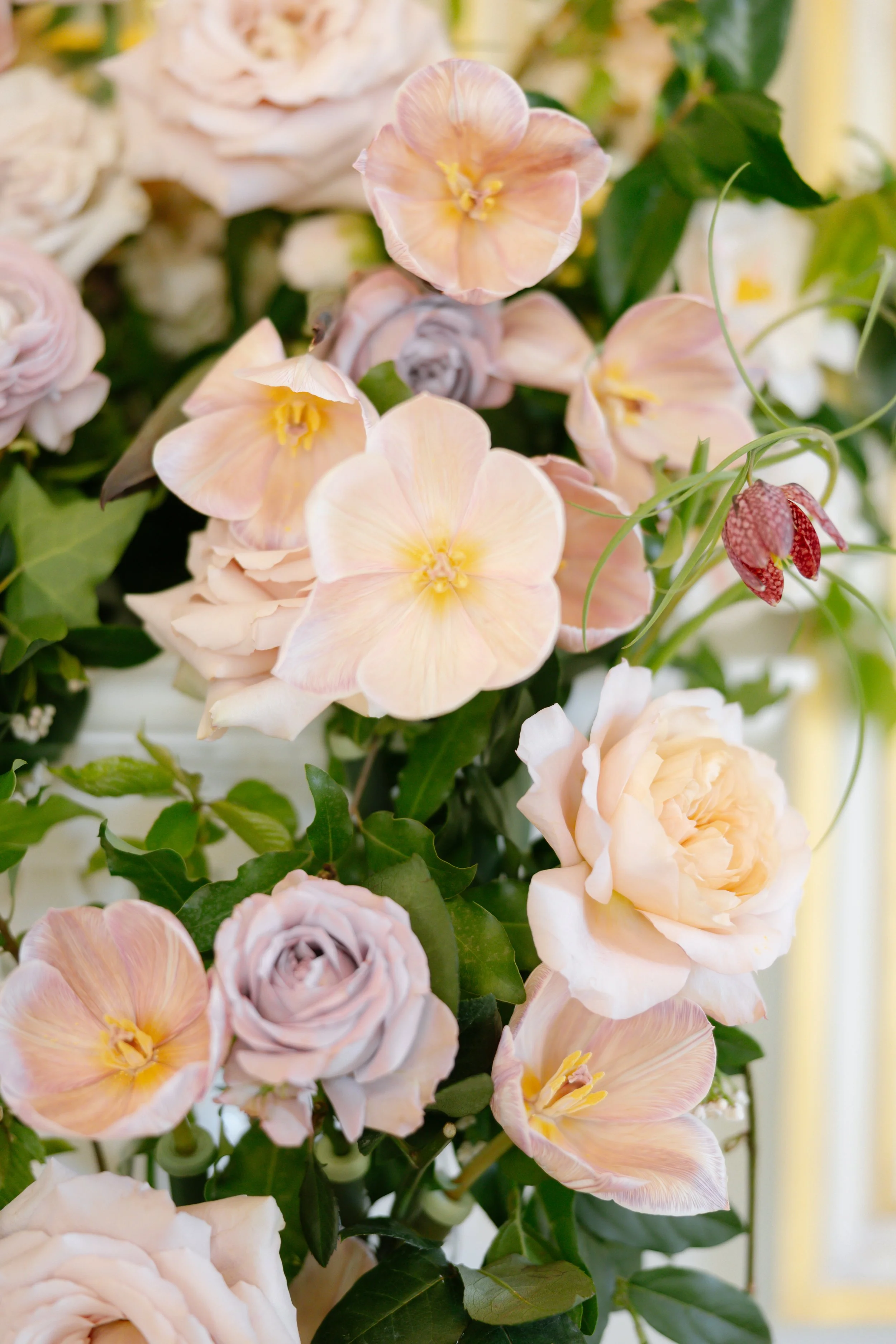 Storme and David-61.jpg