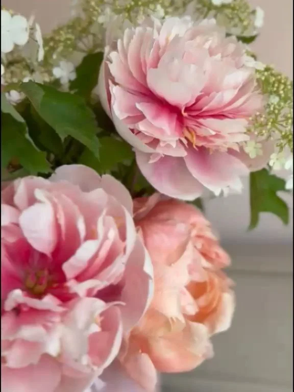 A little moment to play with a few leftovers from this weekend&rsquo;s wedding ✨

A few brown edges, petals curling in unexpected ways&hellip; imperfect in the most beautiful way.

Because flowers in their natural form aren&rsquo;t meant to be flawle