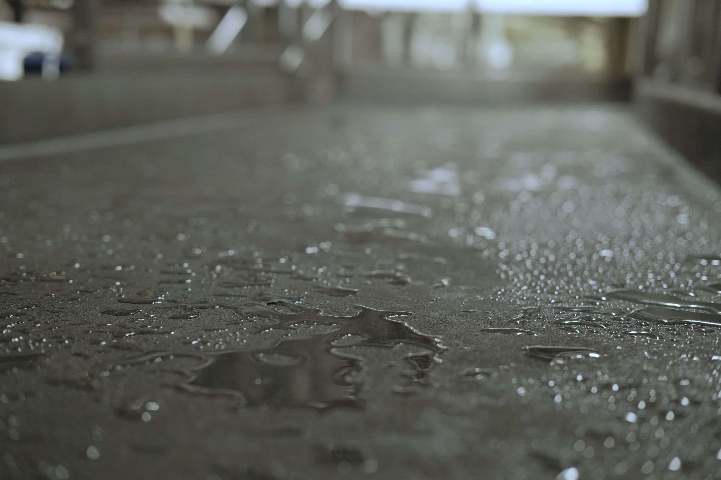 PLATFORMS RAMCOAT WET PIC 1.jpg