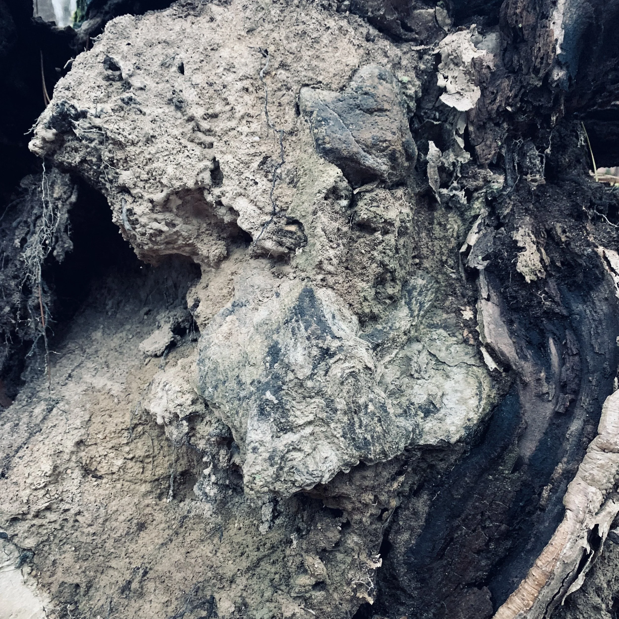 Textures