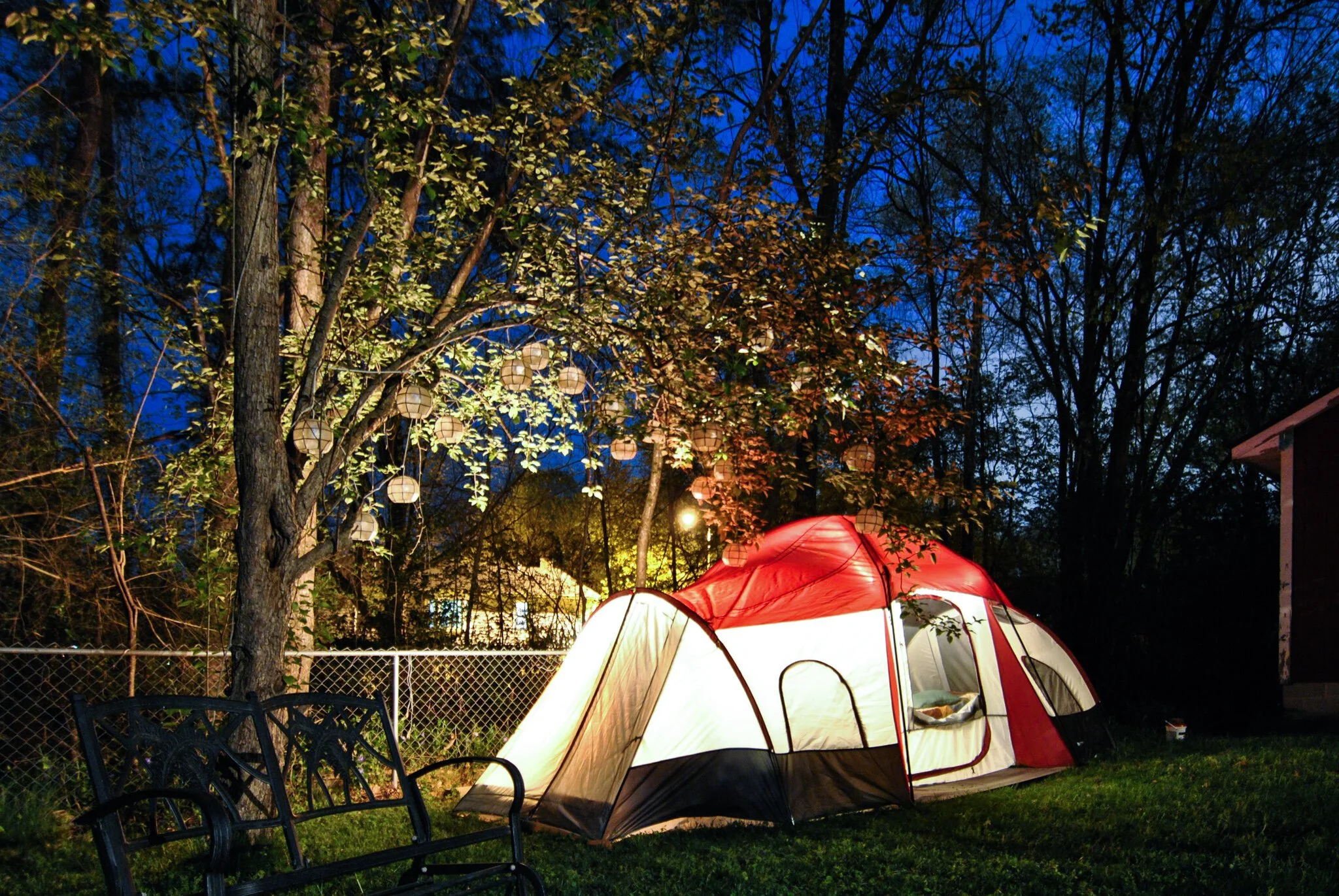 Life in the backyard Part I