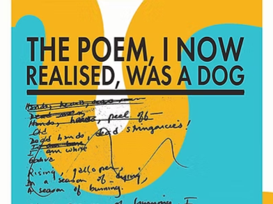 Verve Poetry Festival Competition Anthologies 2024 and 2025