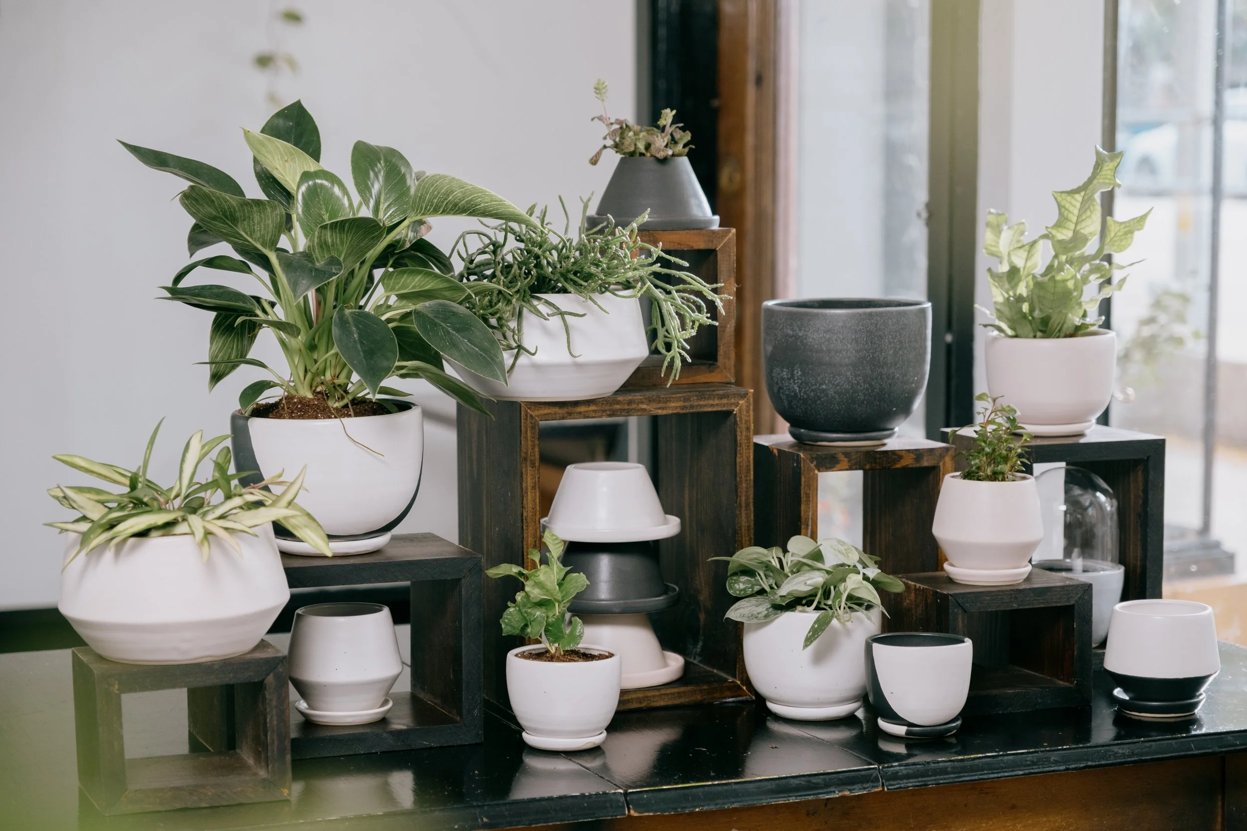 Last Day to Purchase Ready-to-Ship Items to Receive by X-Mas | Local Pick Up