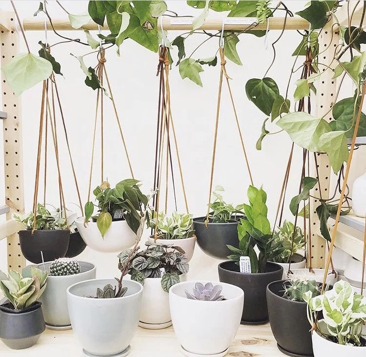 Little Fire Ceramics_Renegade_booth display_hangingplanters.jpg