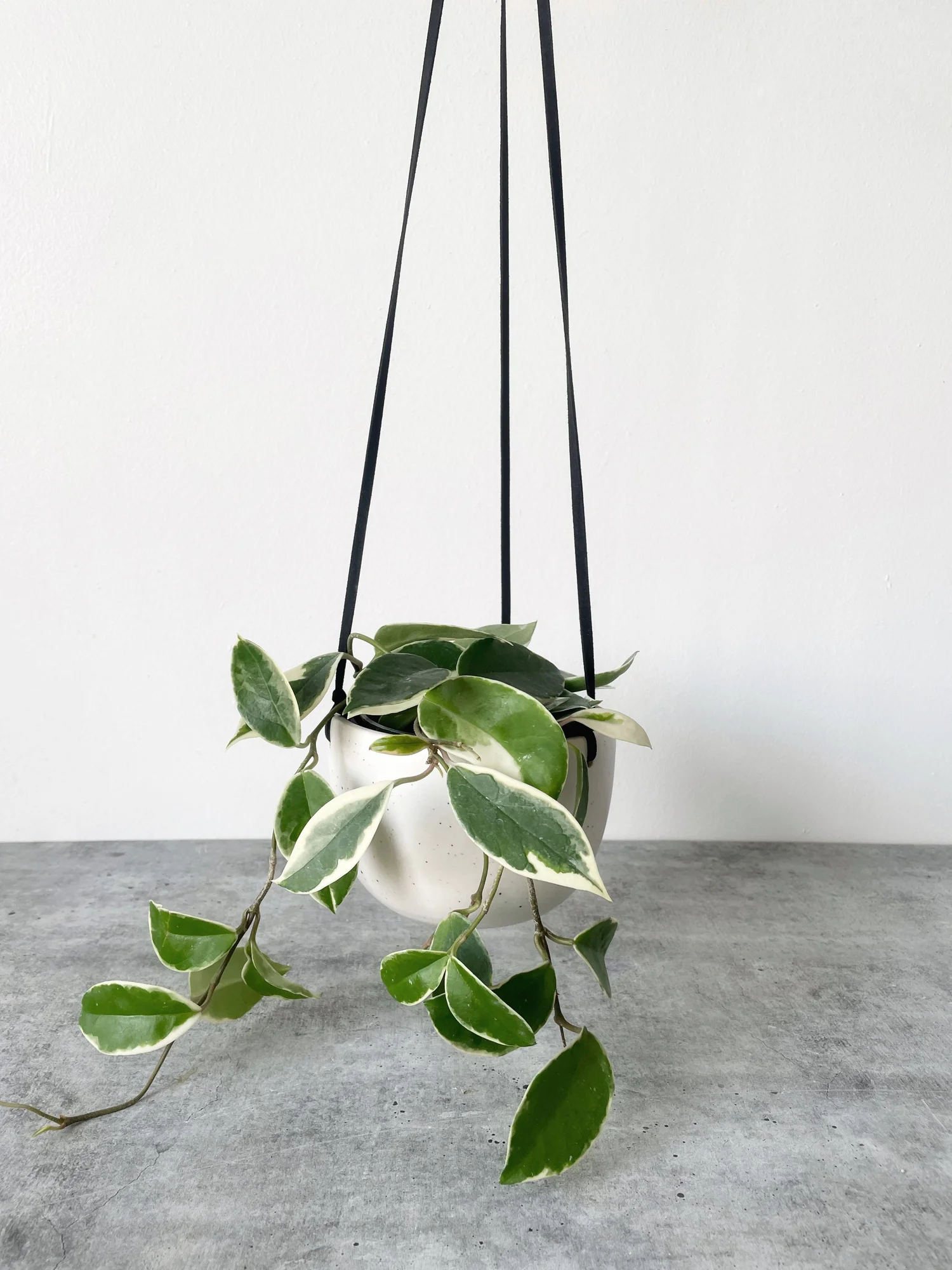 Little Fire Ceramics Handmade 5" Hanging Planter  Little Fire Ceramics |  Heirloom-quality objects for everyday life, made by hand in Chicago