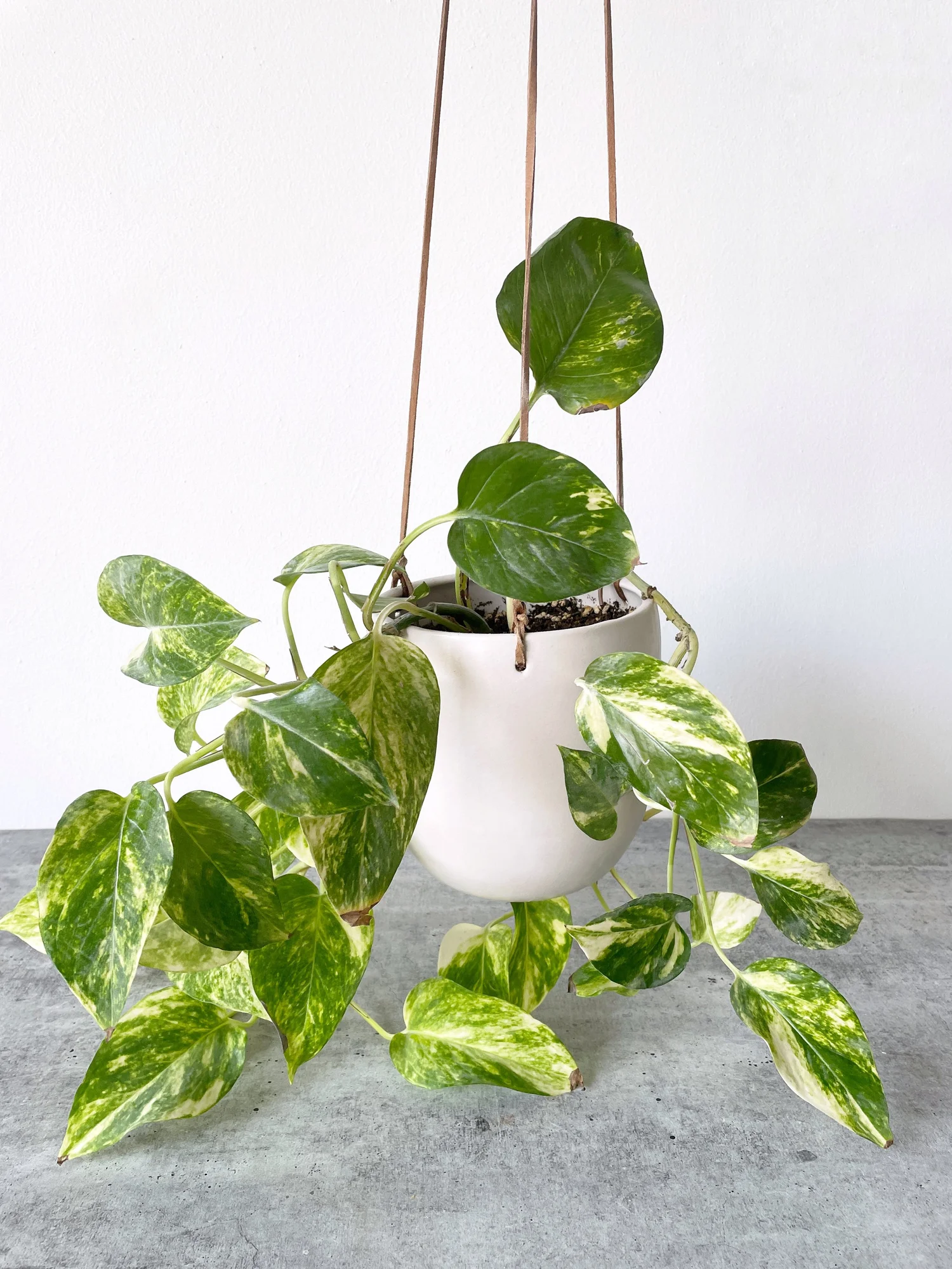 Little Fire Ceramics Handmade U Hanging Planter  Little Fire Ceramics |  Heirloom-quality objects for everyday life, made by hand in Chicago