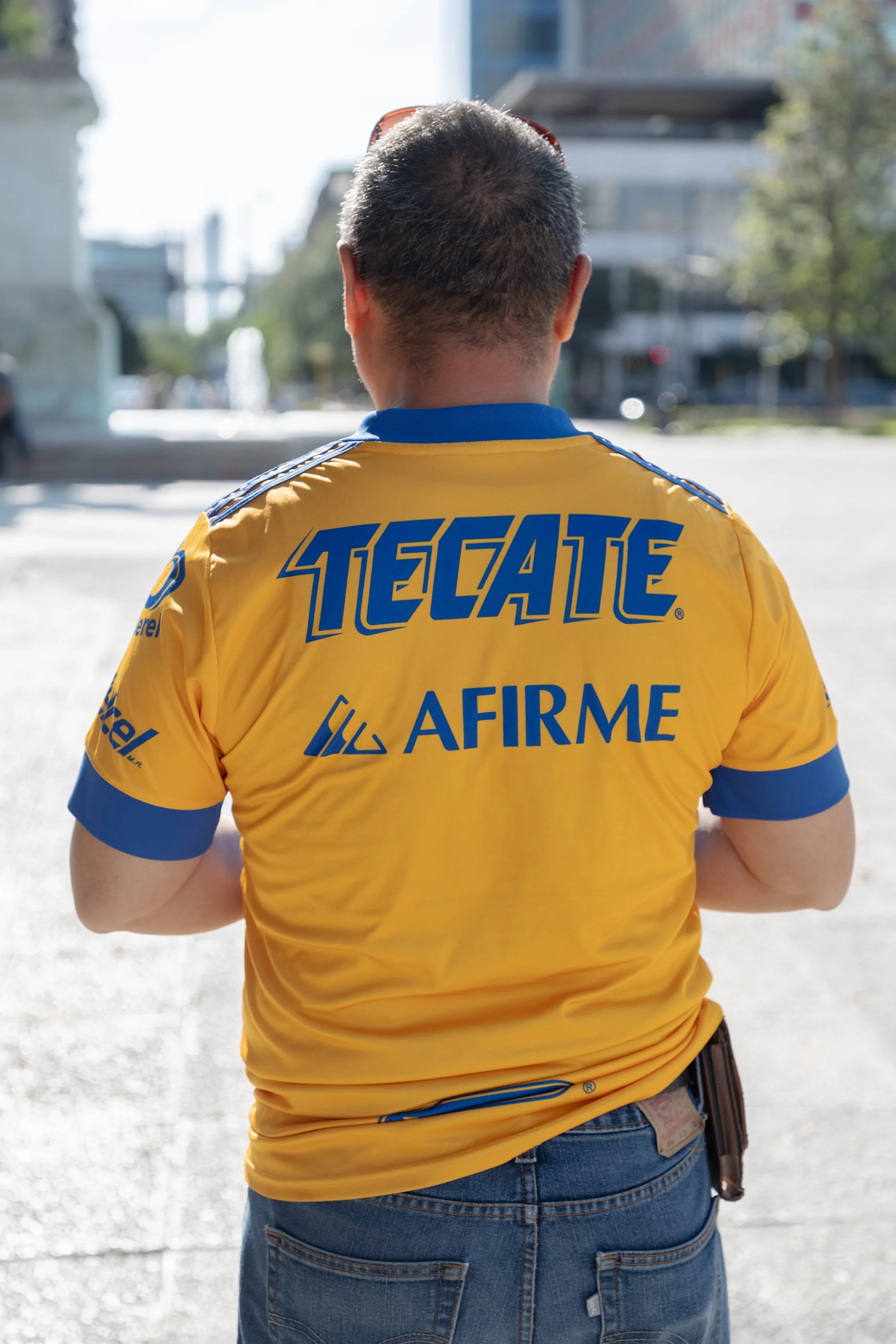 tigres in macro plaza.jpg