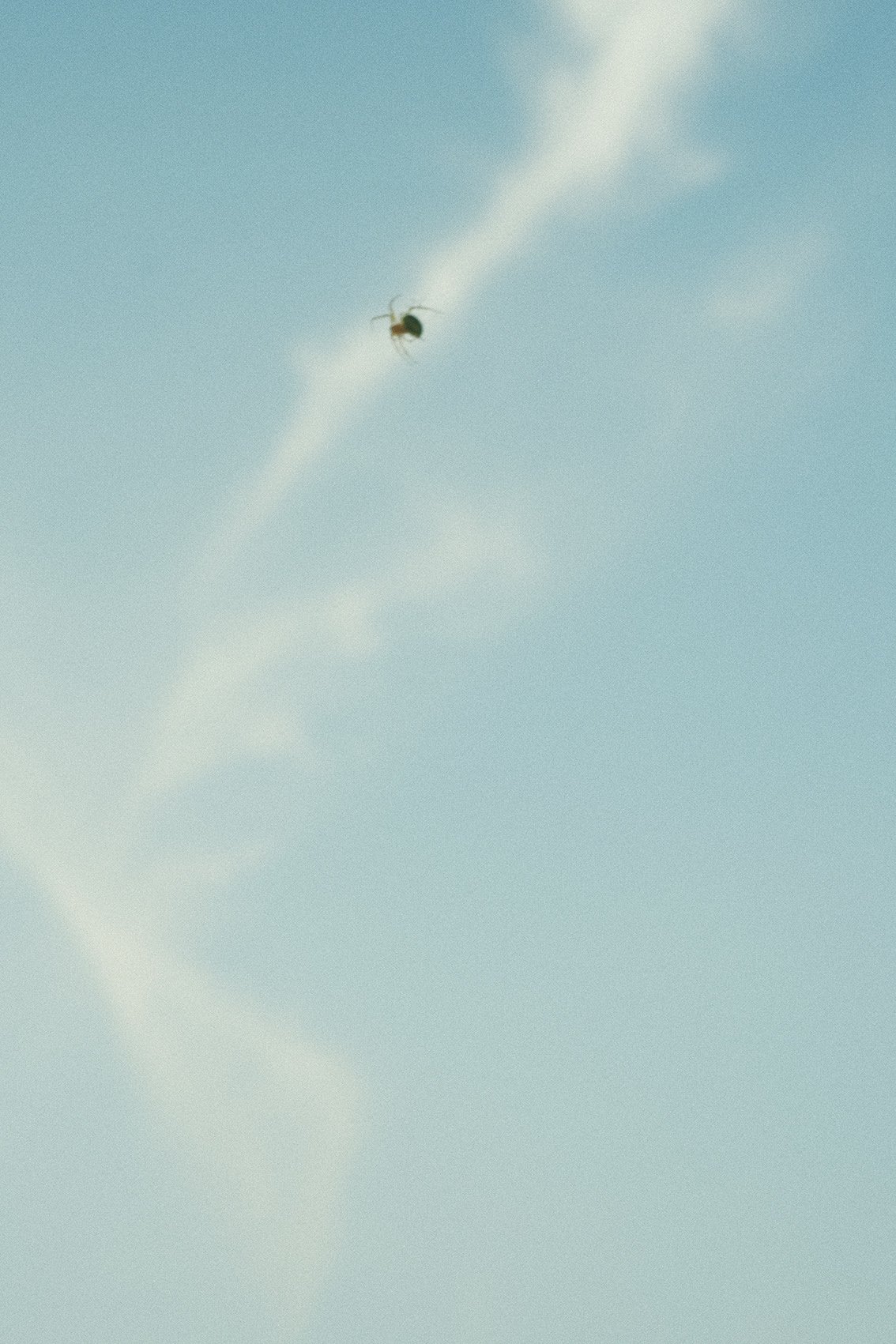 Window sky