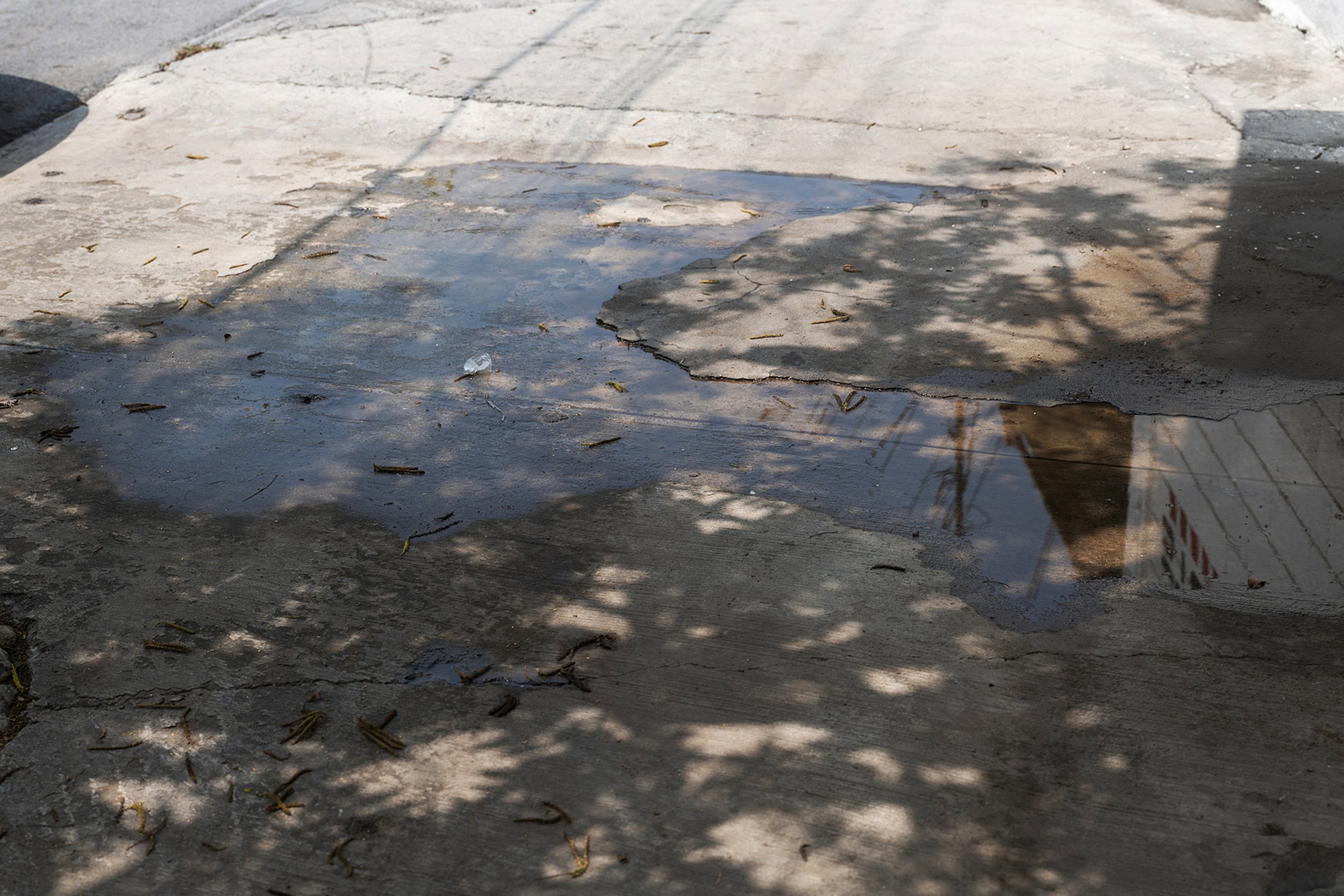Reflection from Sky and Ground.jpg