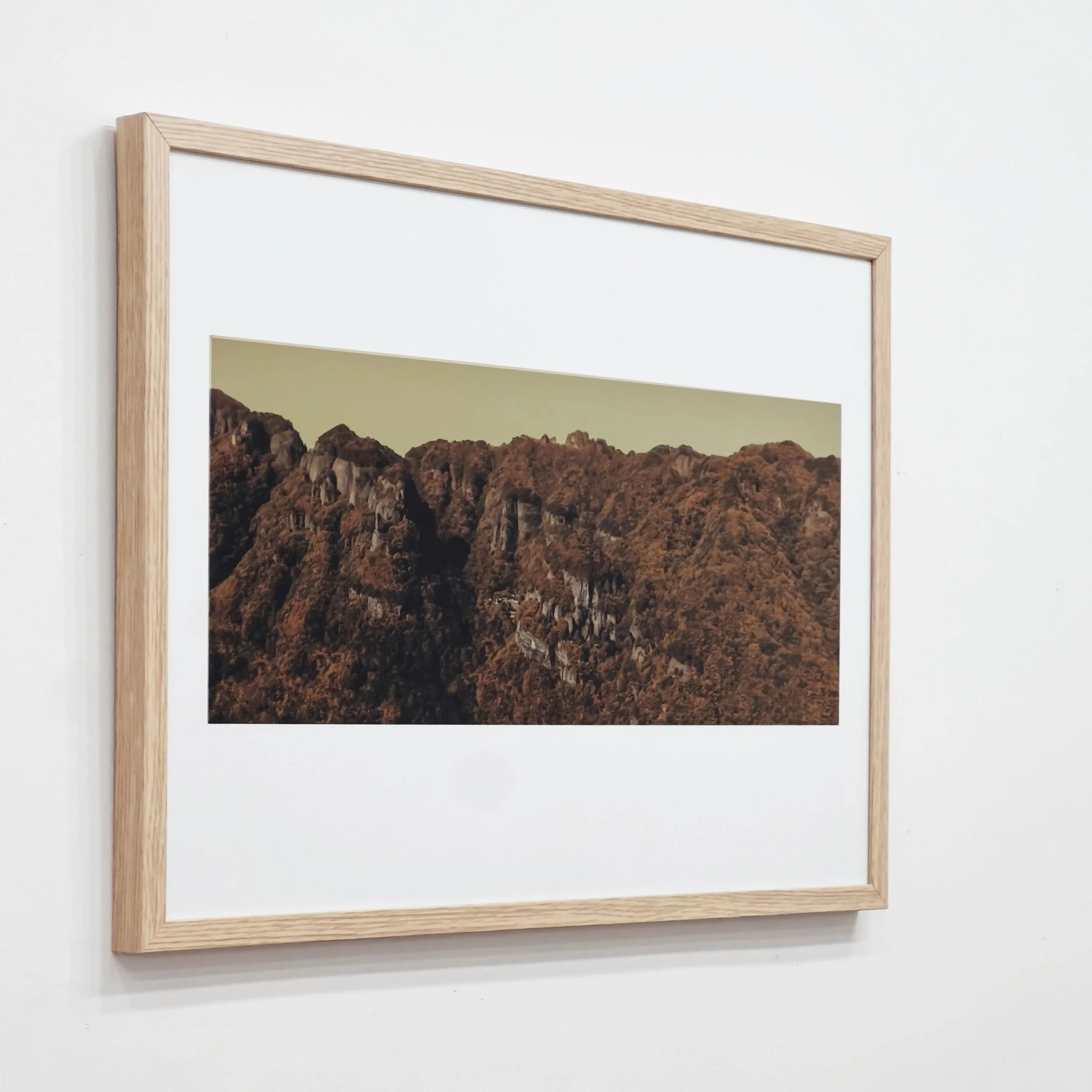 11F9889F-2DEF-4507-AA1B-5E33A508F63F 복사.jpg