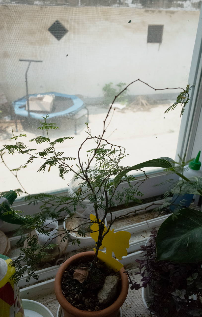 Screenshot 2026-03-20 at 8.50.53 pm.png