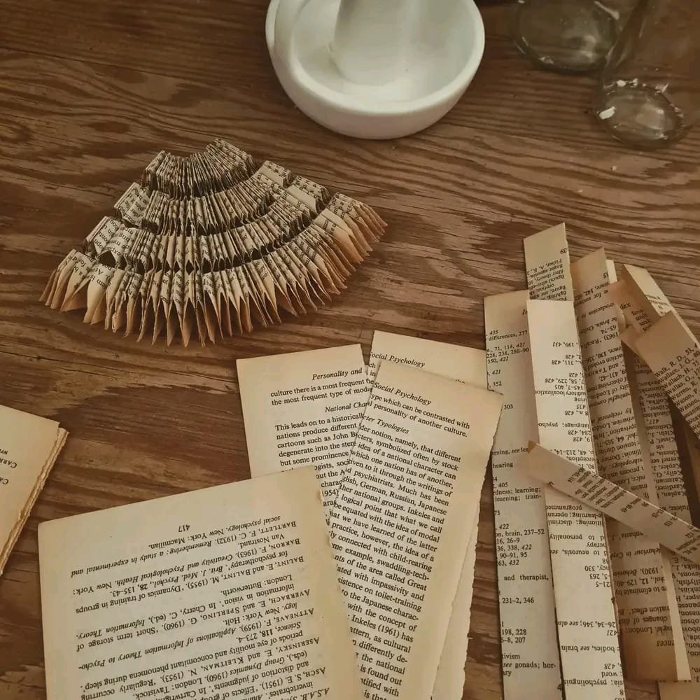 WhatsApp Image 2026-02-04 at 17.25.45(2).jpeg