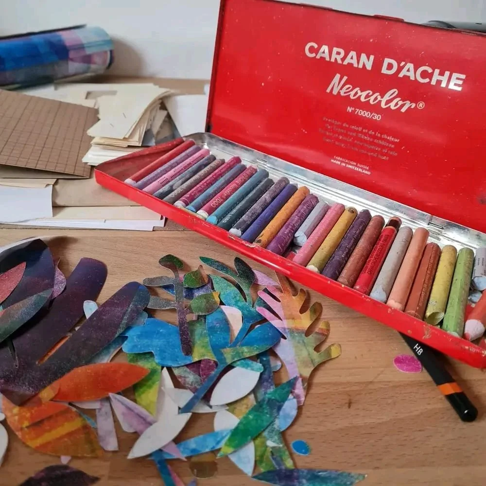 WhatsApp Image 2026-02-04 at 17.25.29.jpeg