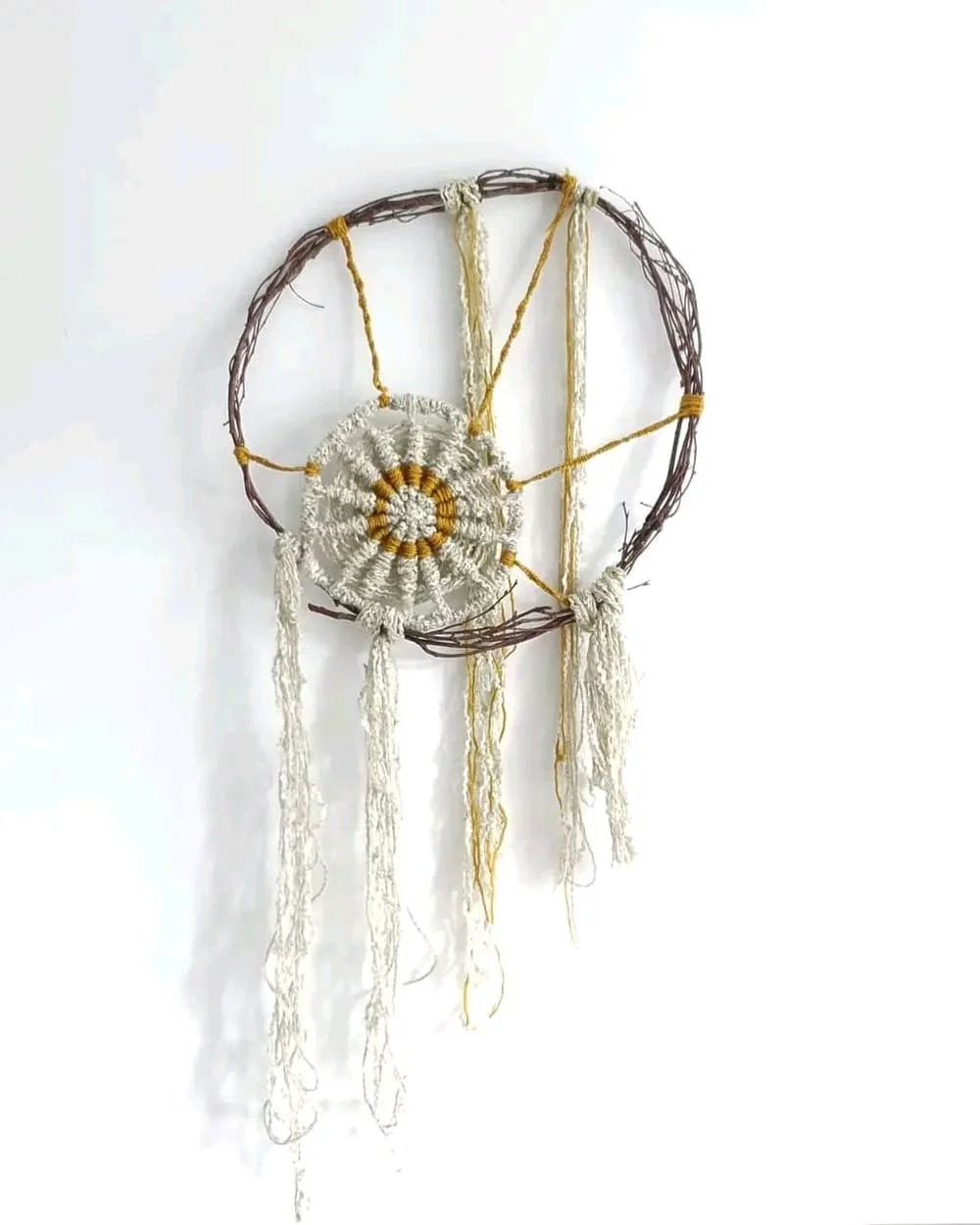 WhatsApp Image 2026-02-04 at 17.25.41.jpeg