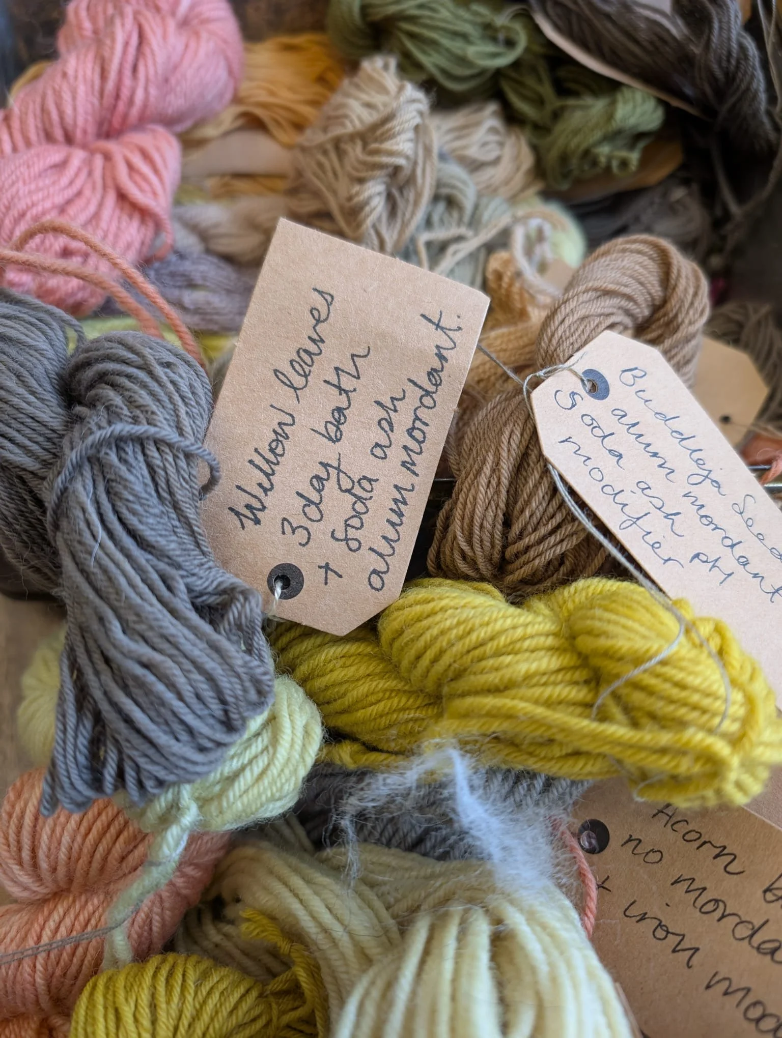 WhatsApp Image 2026-02-04 at 16.55.57.jpeg