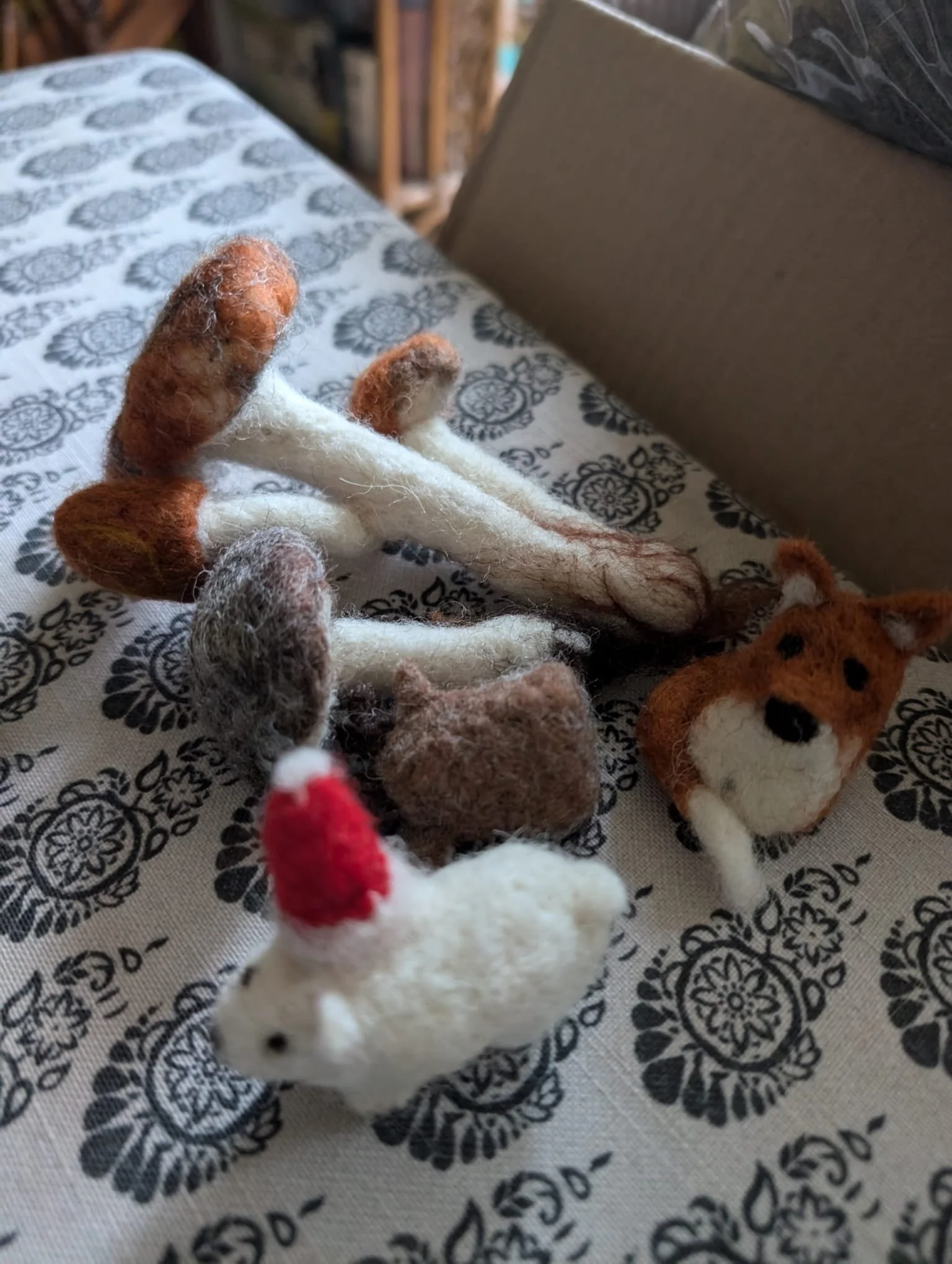 WhatsApp Image 2026-02-04 at 16.55.56(1).jpeg