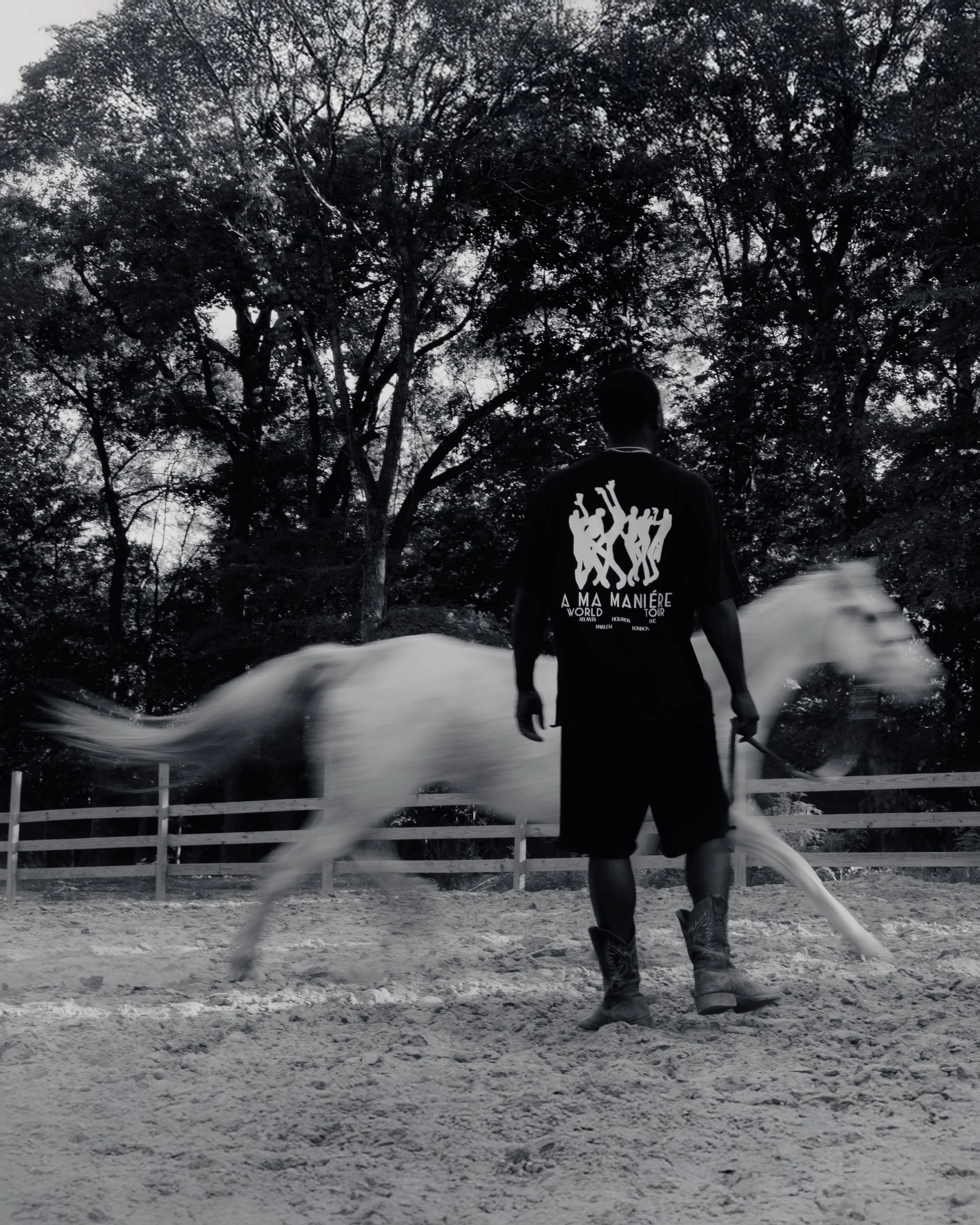 DSC02263BB_1 copy.jpg