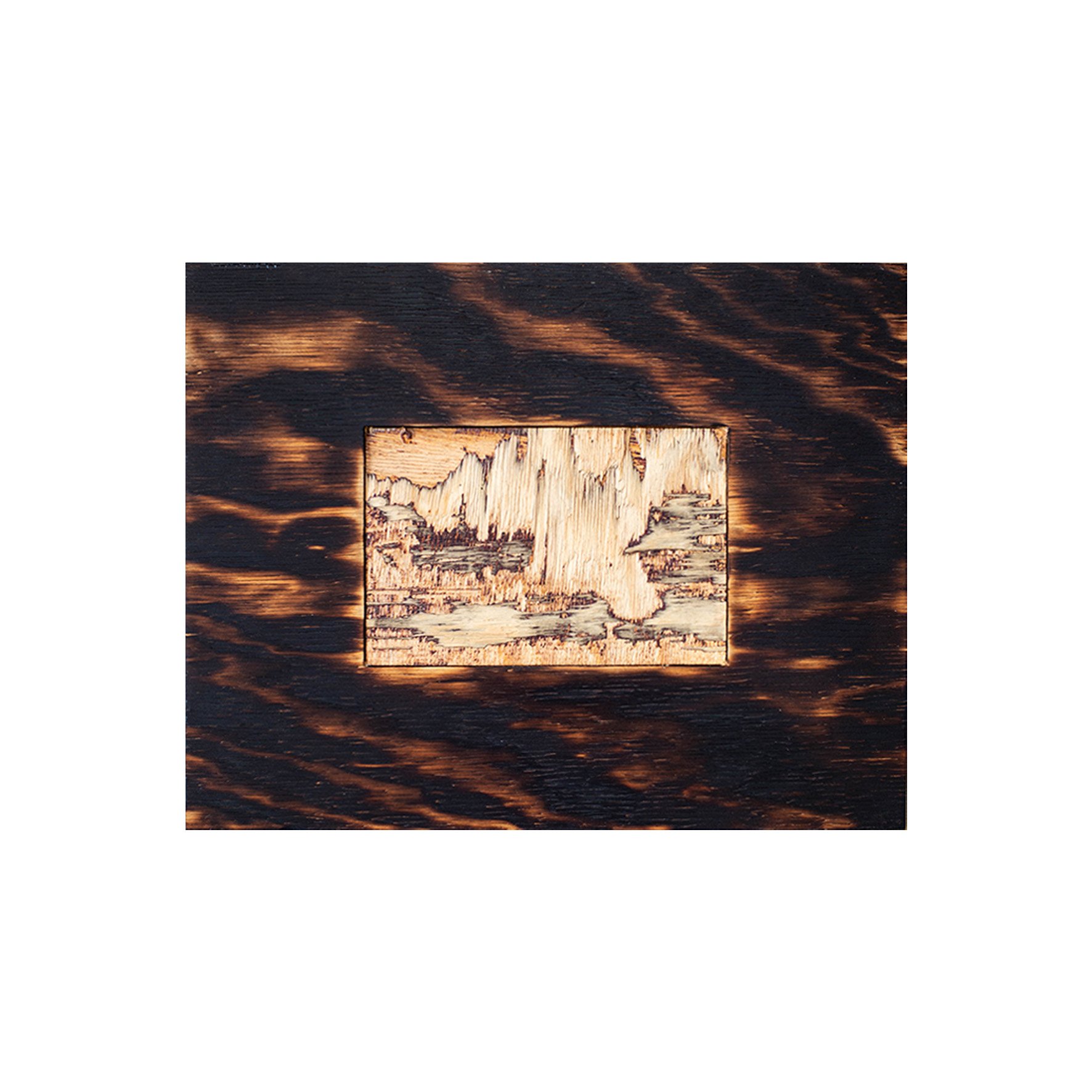 cliff white 1 by 1.jpg