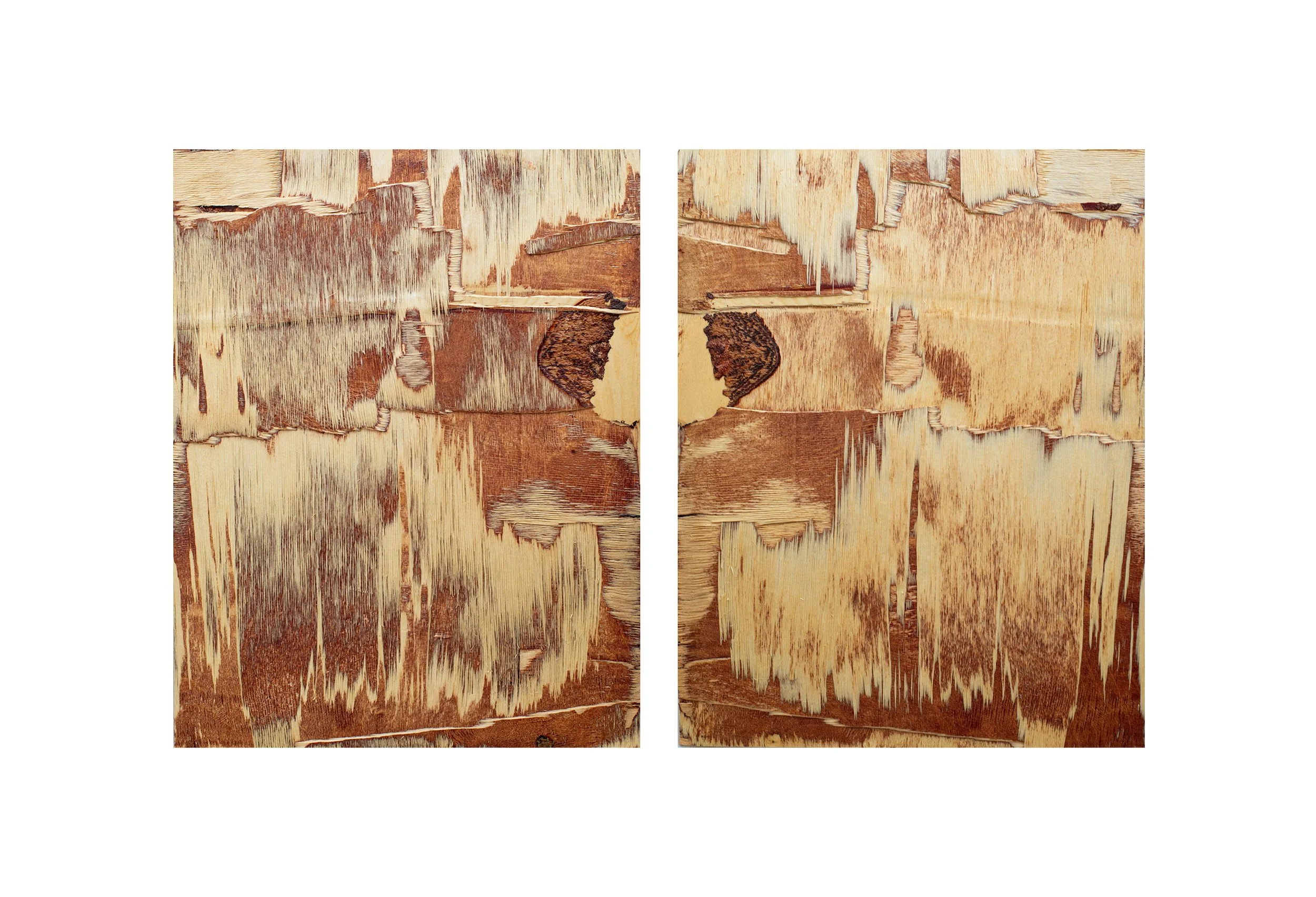 miror 5 both.jpg