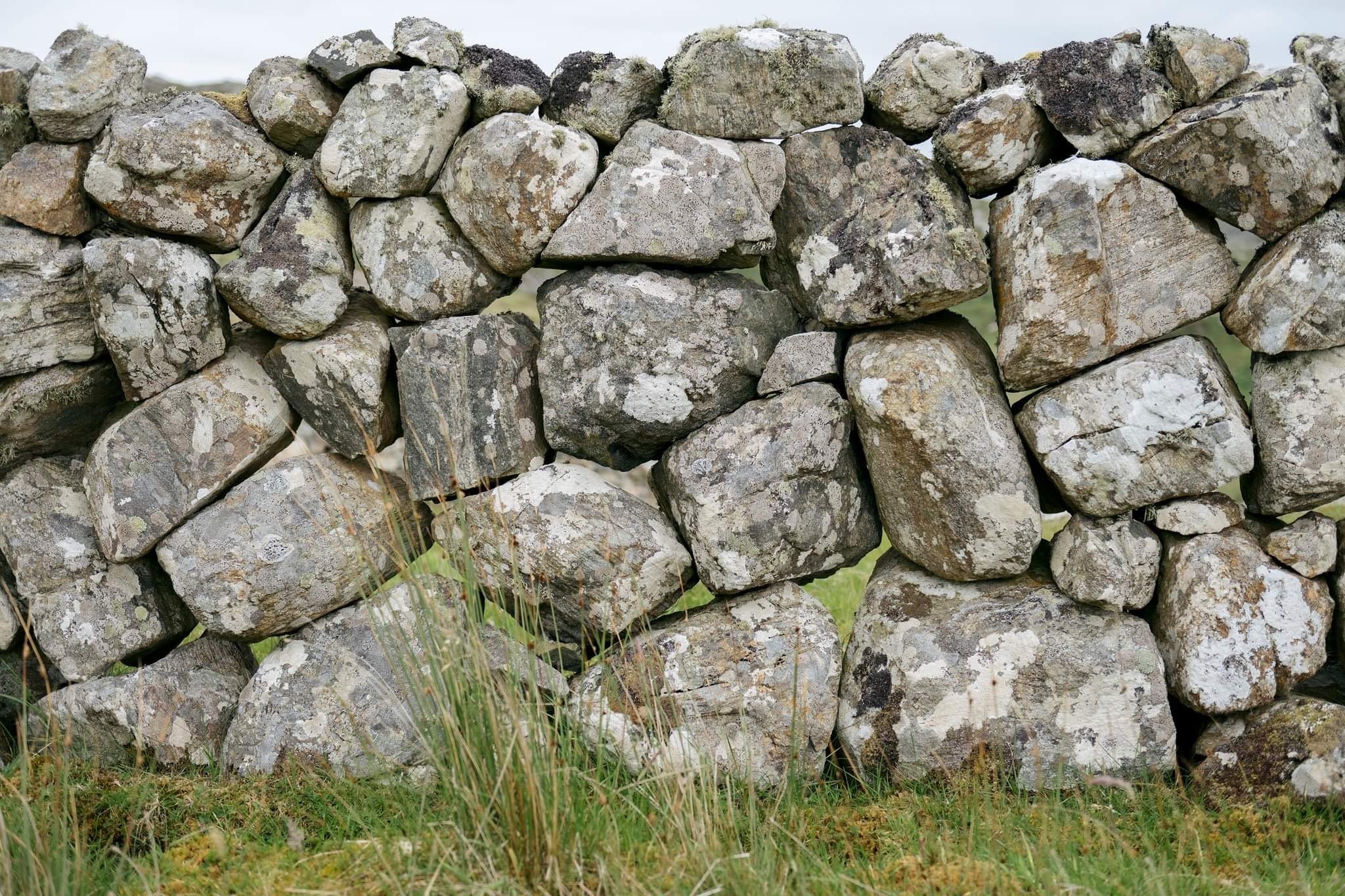 Drystone walling brought me peace, says Kristie de Garis — Barley