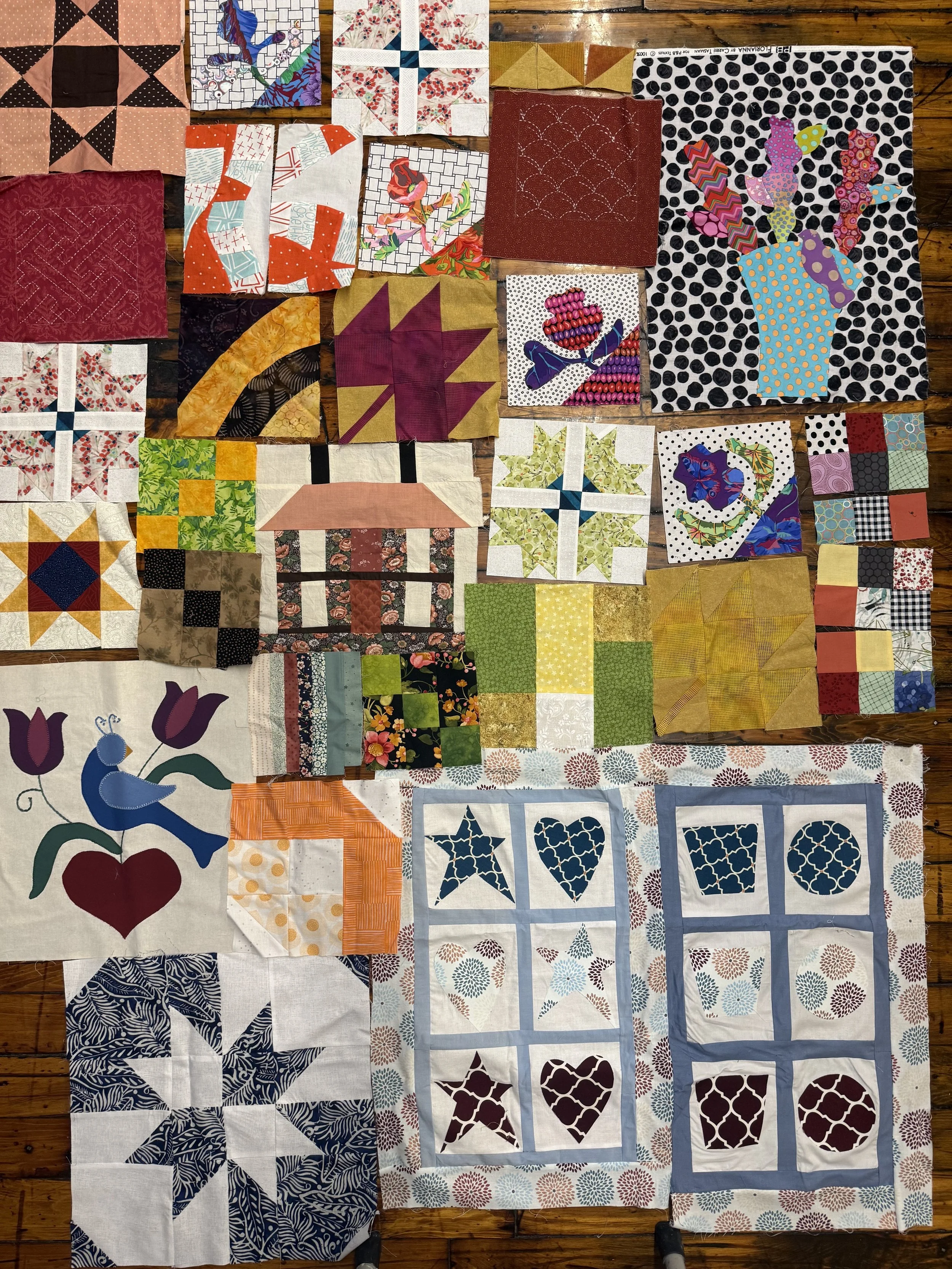 Orphan Block Rescue Day