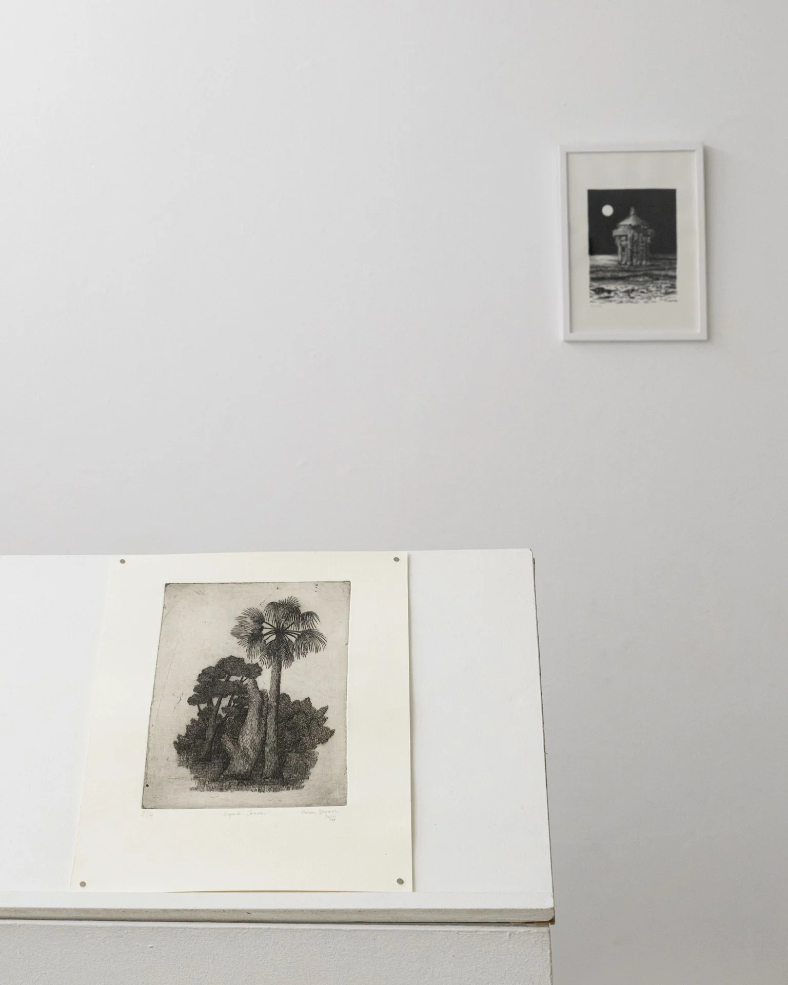 Vue de l'exposition "Moving Through the Dark" de Manon Diemer. 
Crédit Photo : Inu Studio