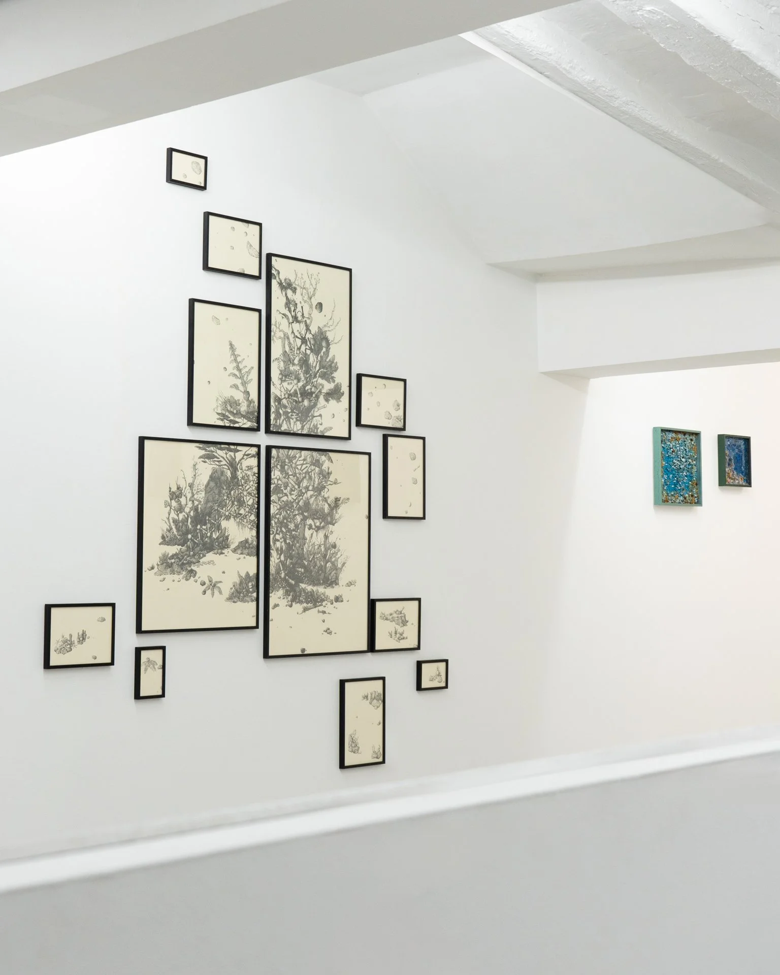 Photos de l'exposition "Ecotone" de Marie Havel et Clément Philippe - crédit photo : Inu Studio