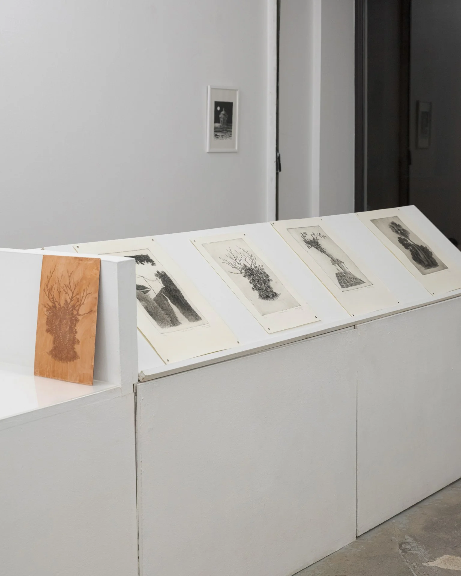 Vue de l'exposition "Moving Through the Dark" de Manon Diemer. 
Crédit Photo : Inu Studio