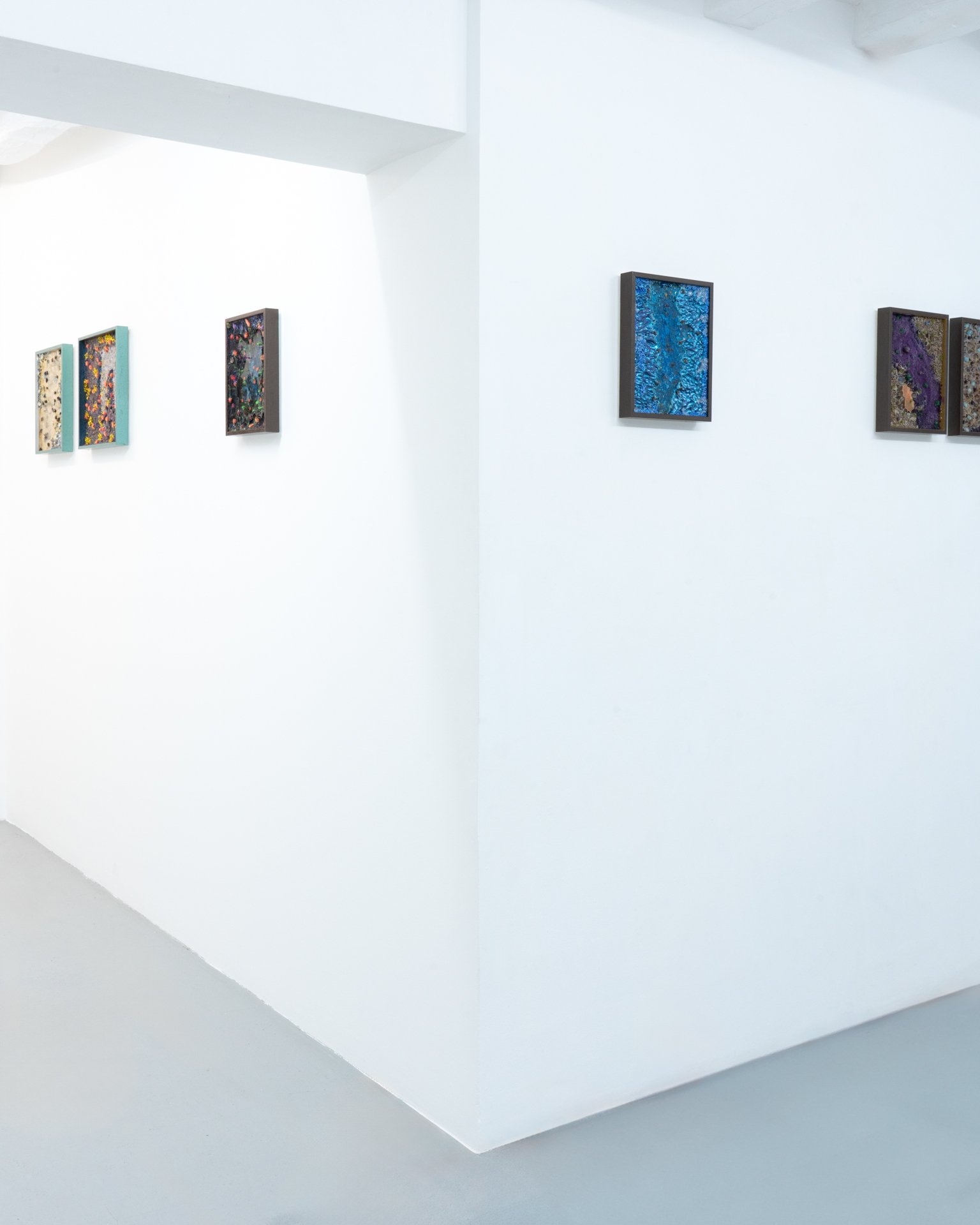 Photos de l'exposition "Ecotone" de Marie Havel et Clément Philippe - crédit photo : Inu Studio