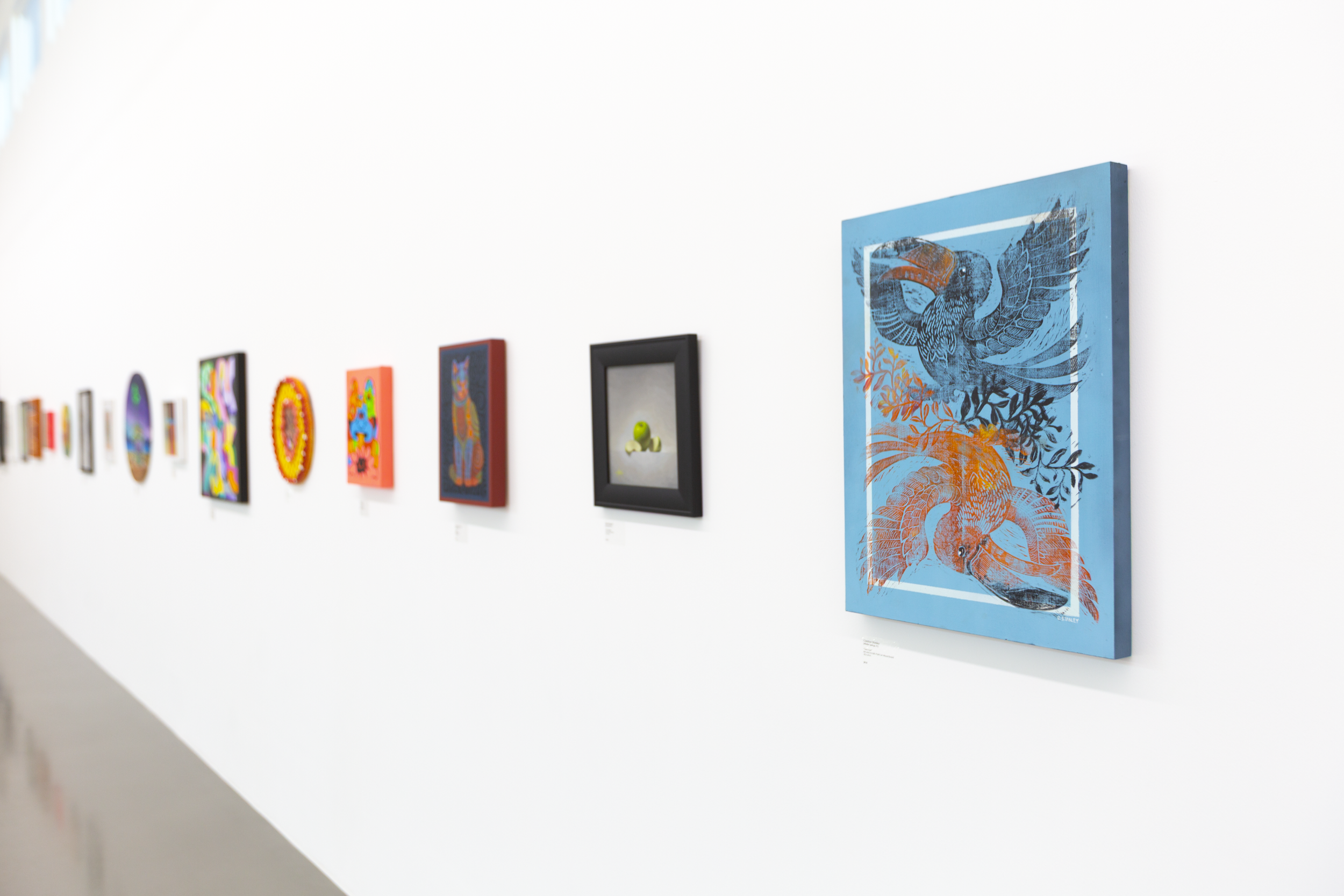 evolution install_4.PNG