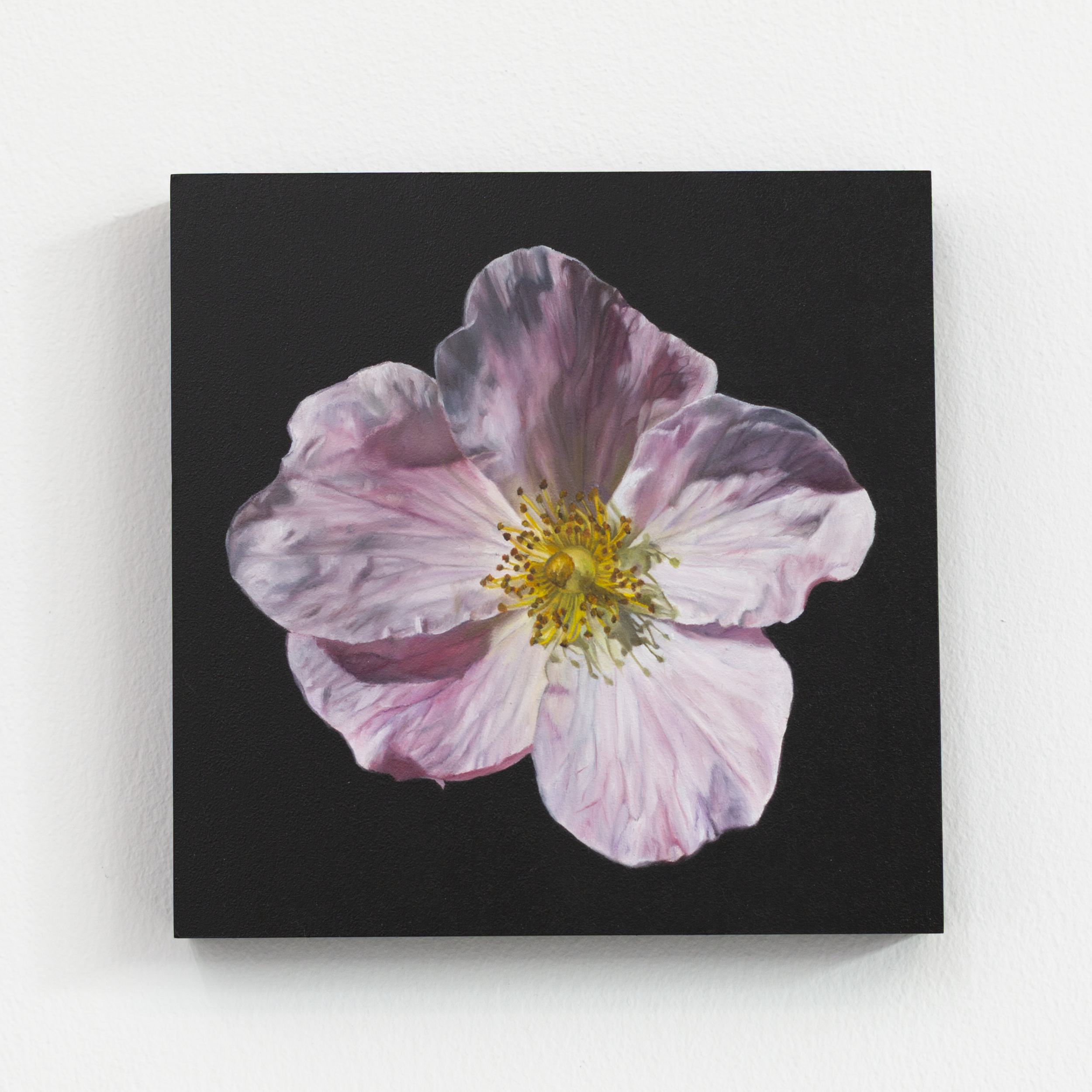 SAMI JACQ - Atlanta Botanical No. 10.PNG