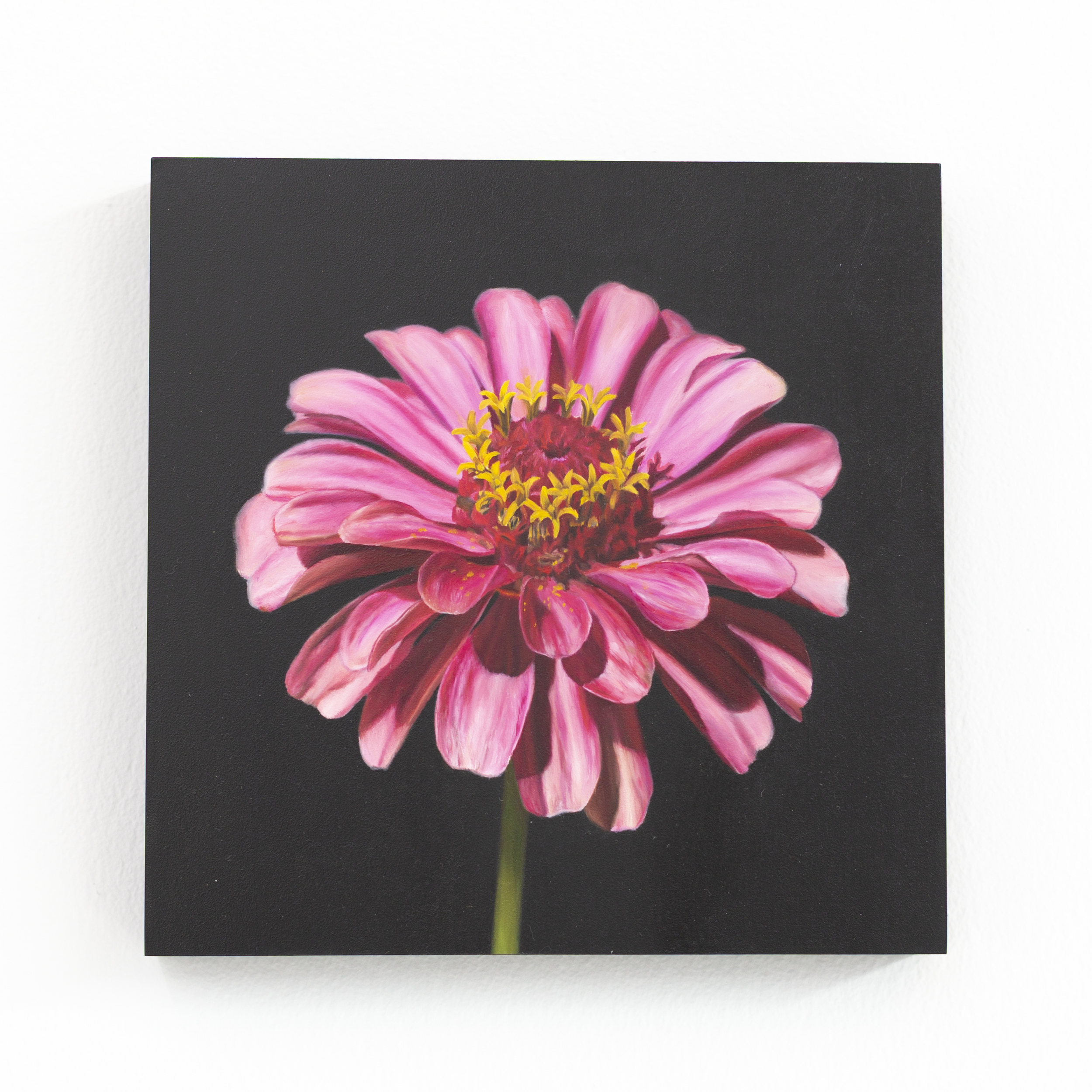 SAMI JACQ - Atlanta Botanical No. 2.PNG