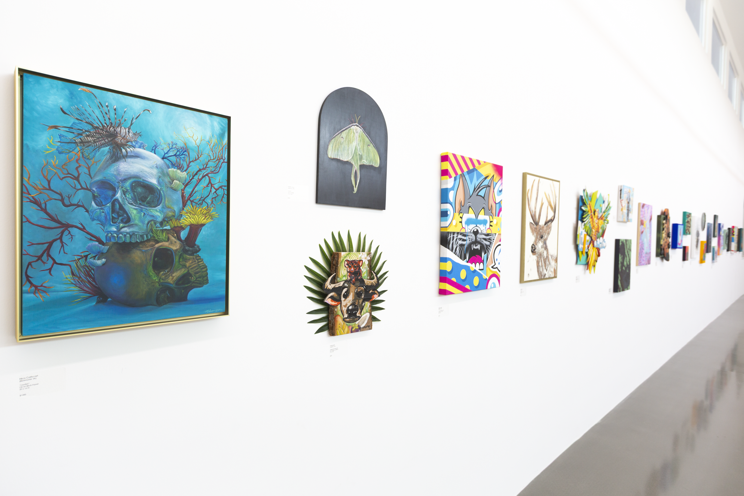 Wild Wonders Install_12.PNG