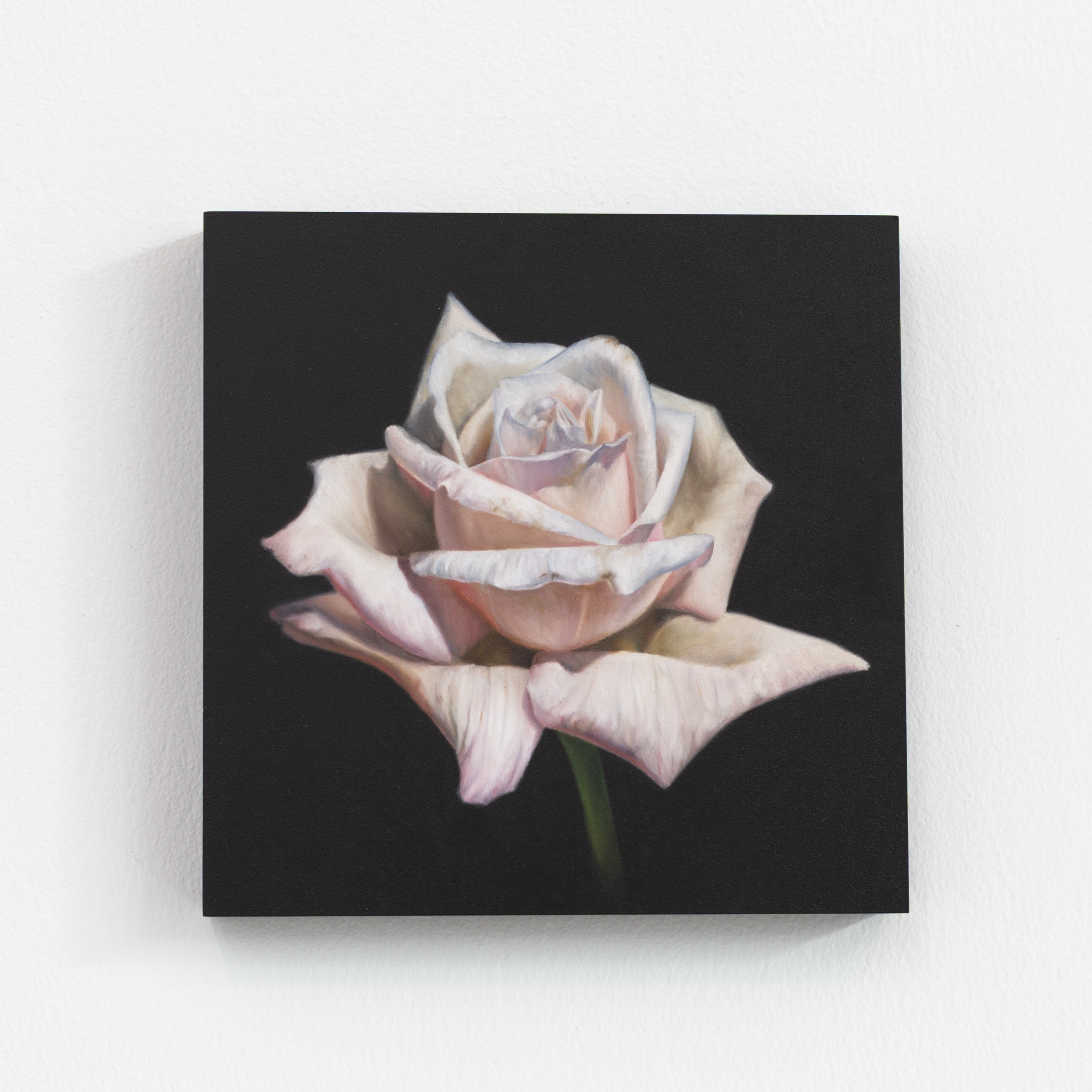 SAMI JACQ - Atlanta Botanical No. 5.PNG