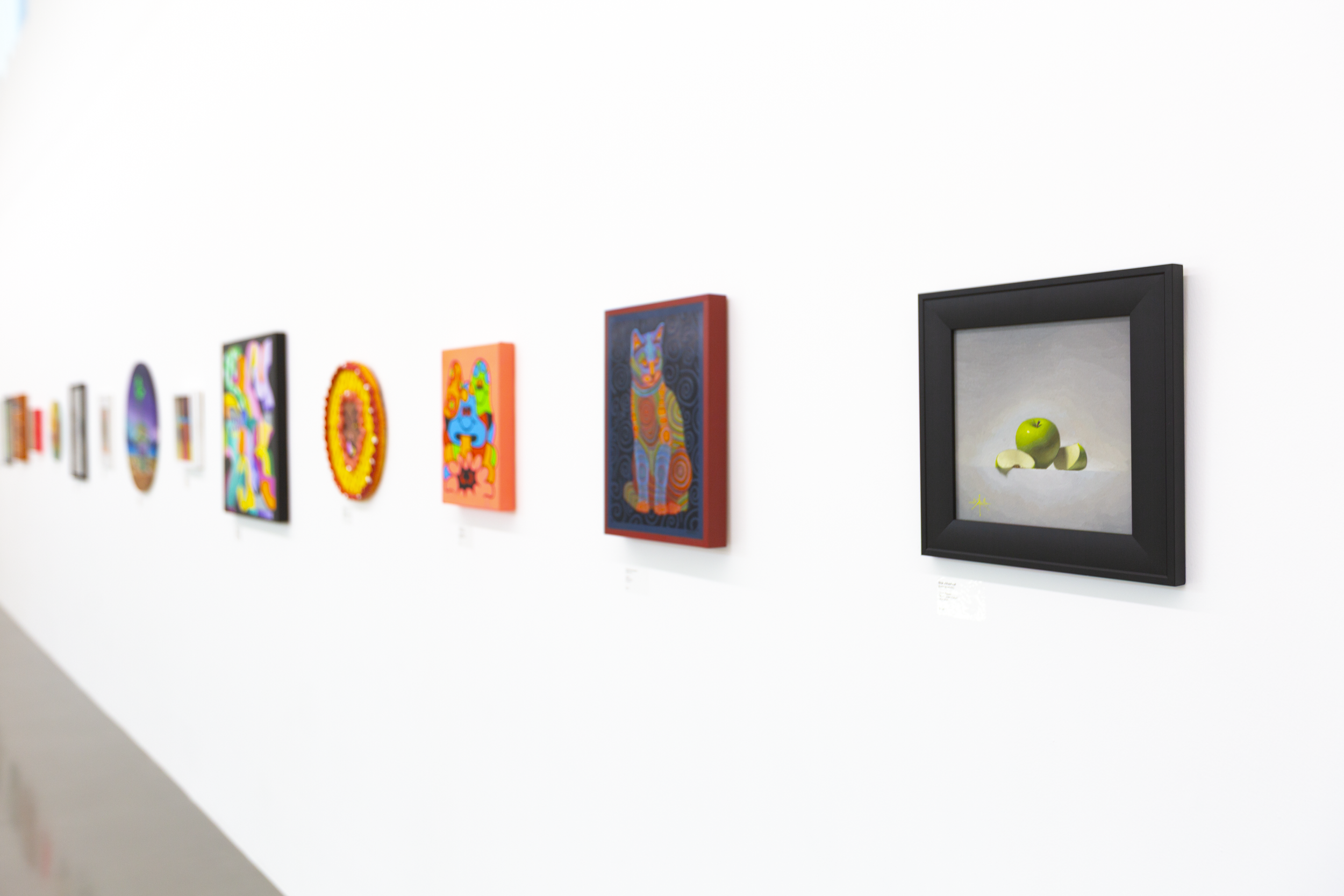 evolution install_5.PNG