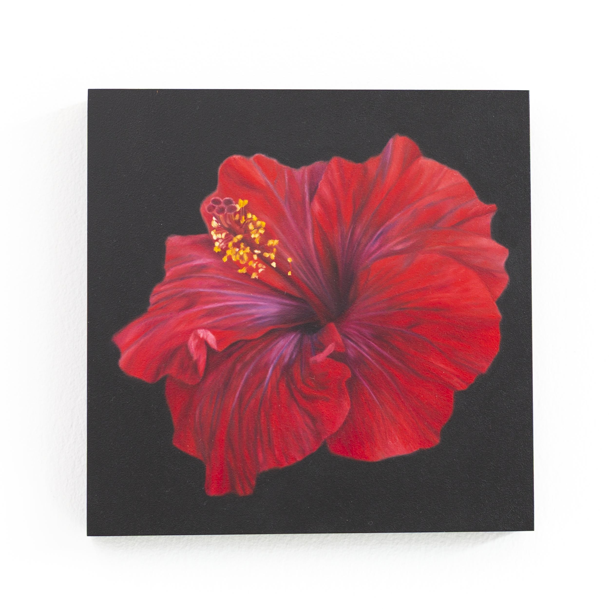 SAMI JACQ - Atlanta Botanical No. 9.PNG