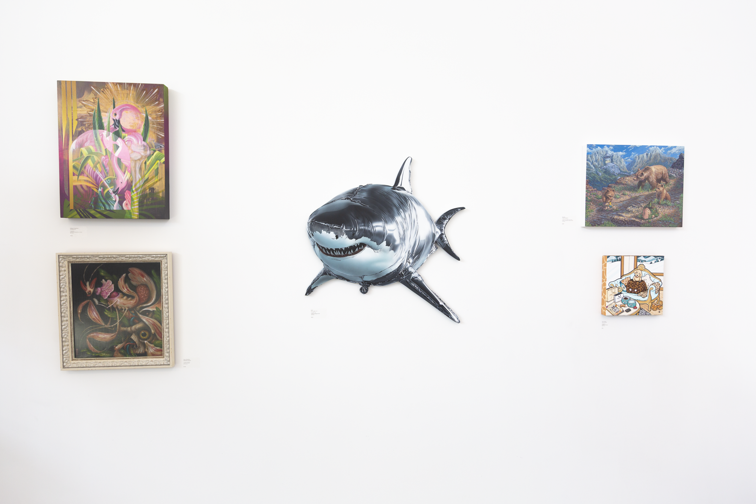 Wild Wonders Install_19.PNG