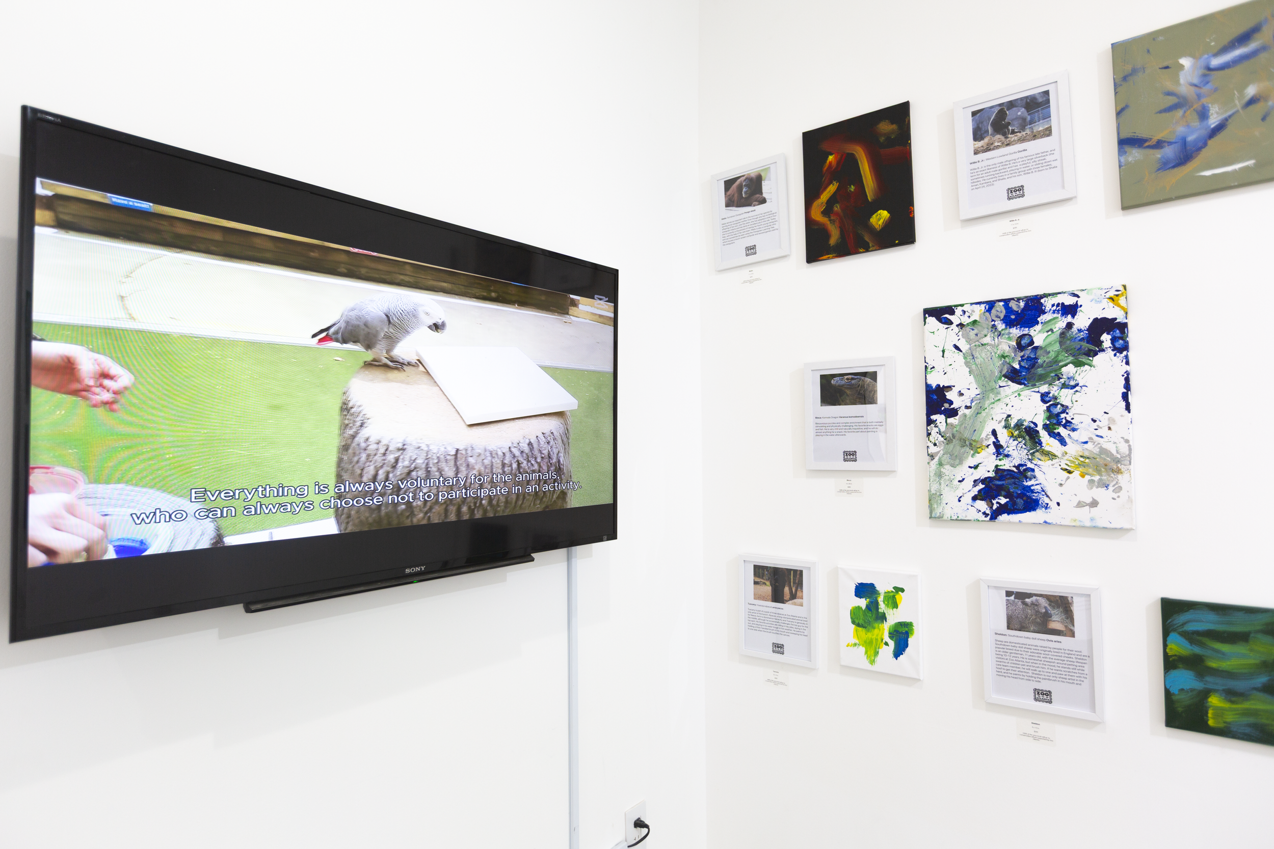 Animal Inspirations_3.PNG