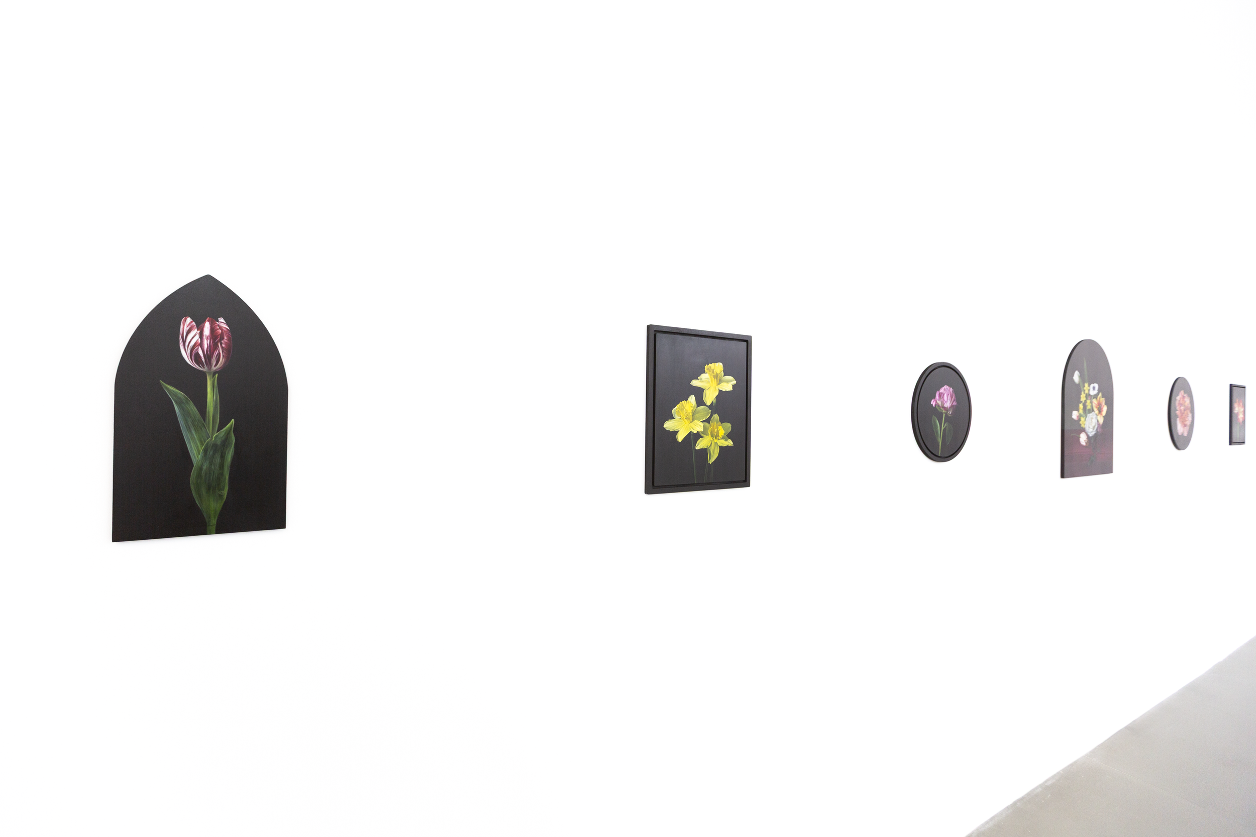 SAMI JACQ INSTALL_4.PNG