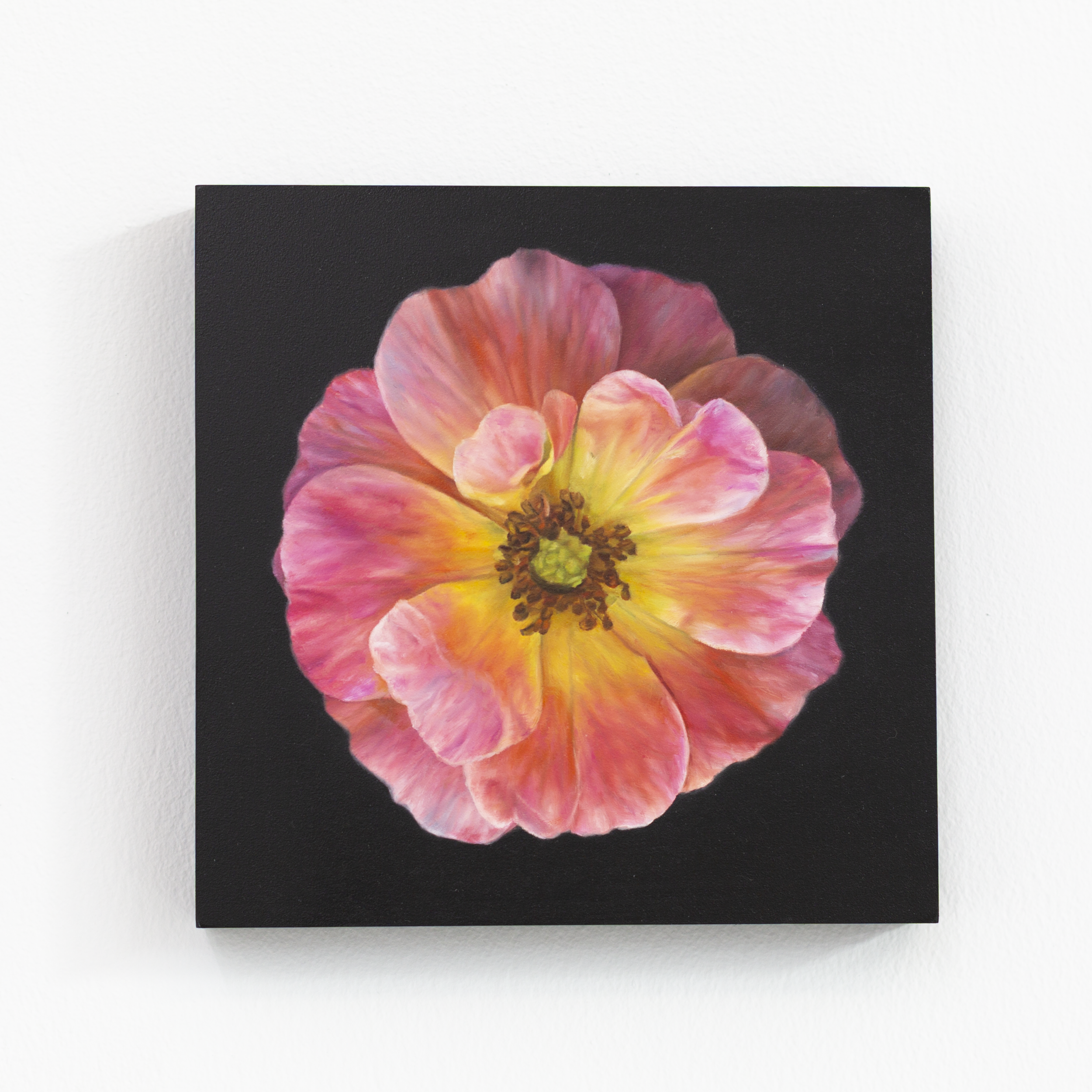 SAMI JACQ - Atlanta Botanical No. 4.PNG
