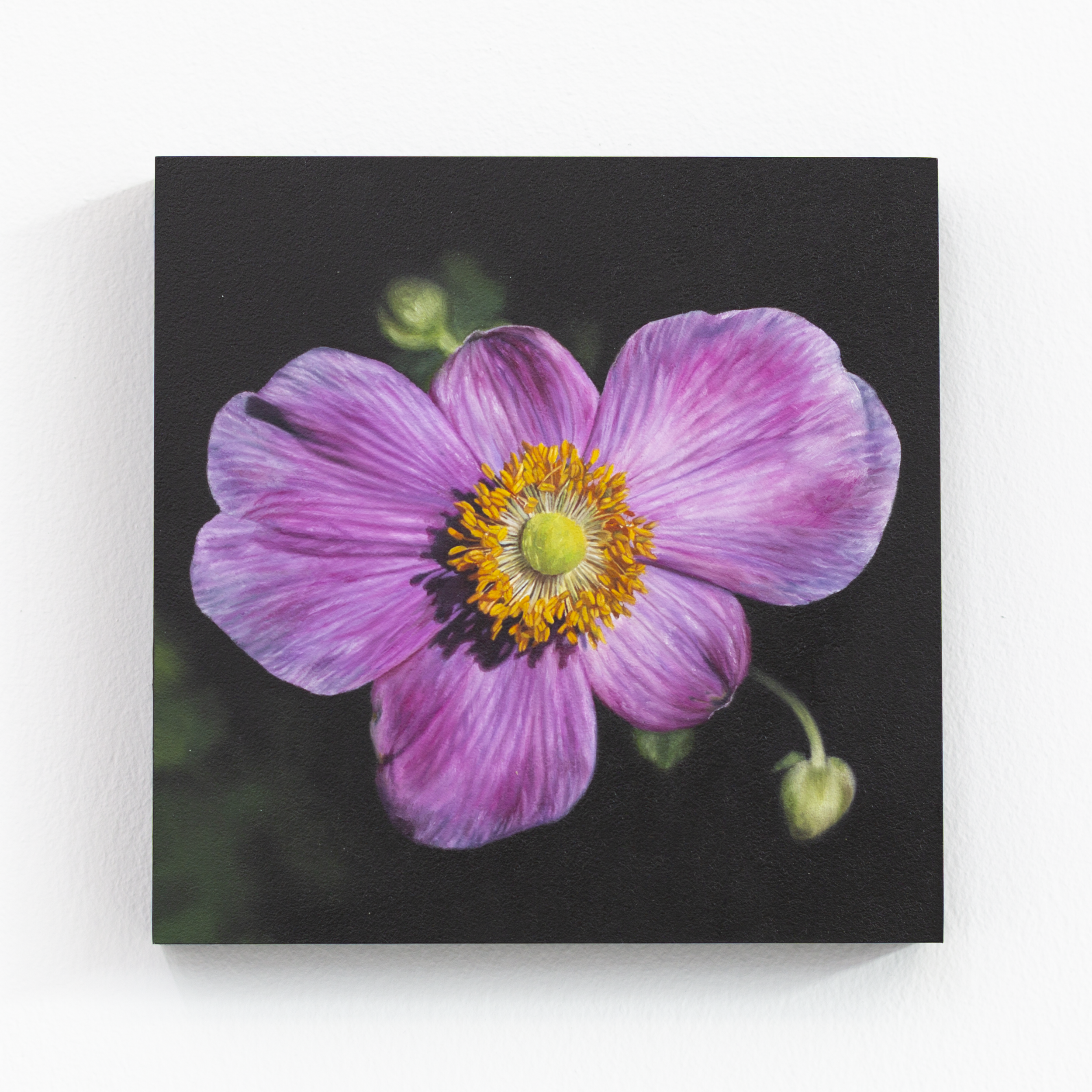 SAMI JACQ - Atlanta Botanical No. 3.PNG