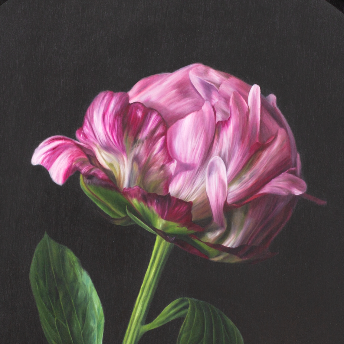‘Where The Light Is’ A Solo Exhibition by Sami Jacq